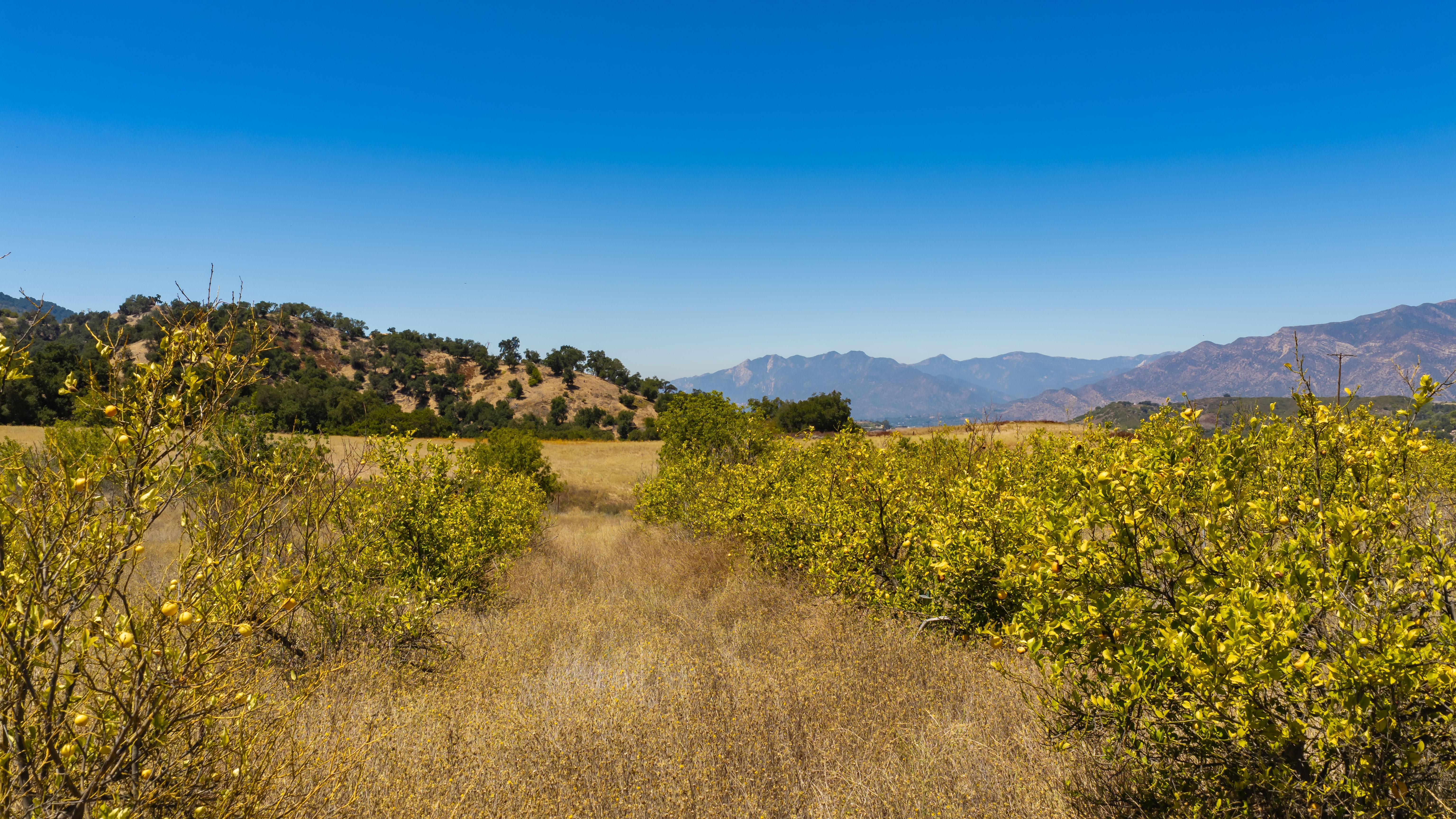  12400 Ojai Santa Paula, Ojai, CA 93023 - 物件實景