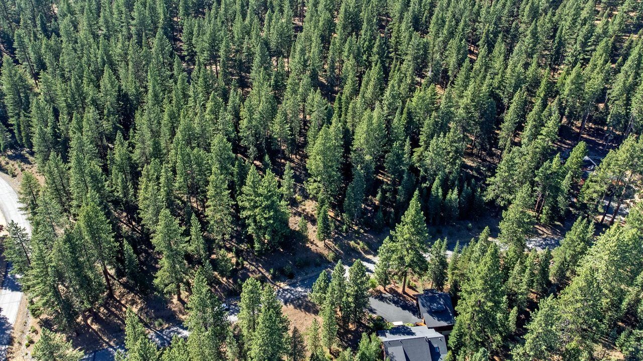 Truckee, California, 96161, United States, ,Land,For Sale,1818006