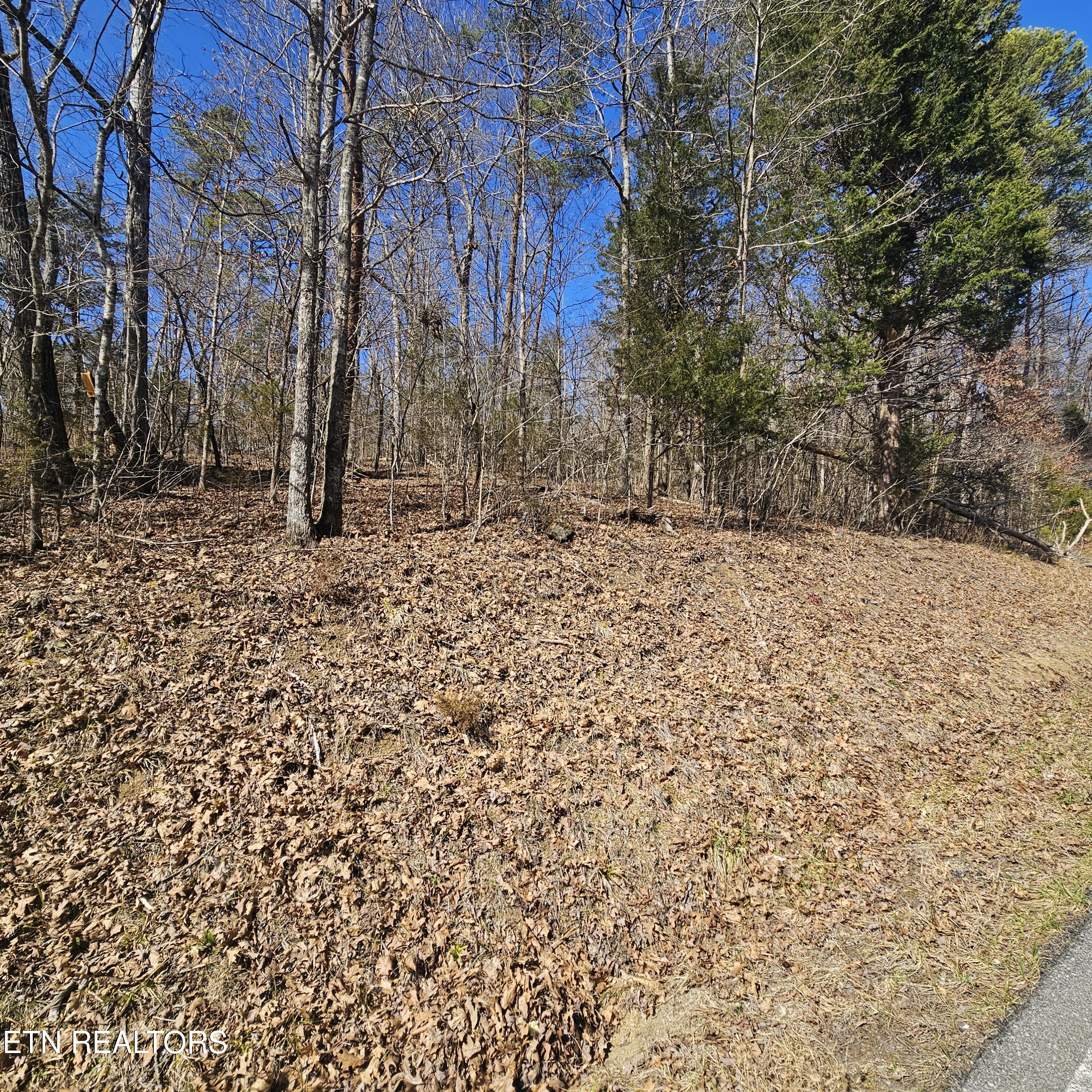 Tellico Plains, Tennessee, 37385, United States, ,Residential,For Sale,1922105