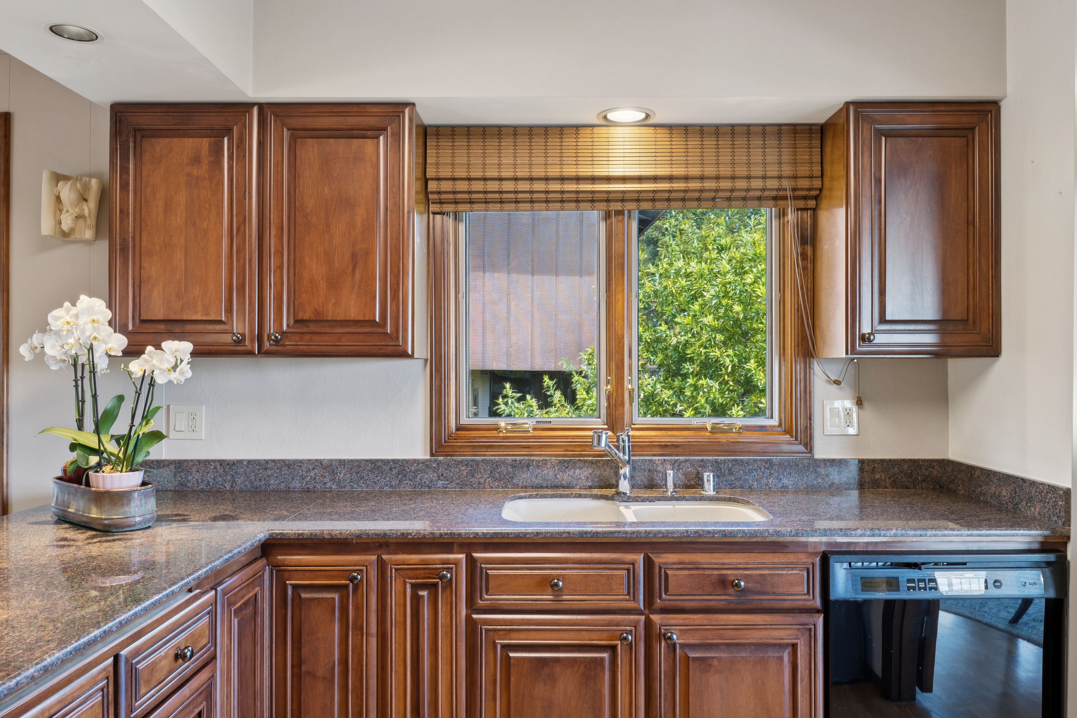  Peacock Gap View Home - 物件實景