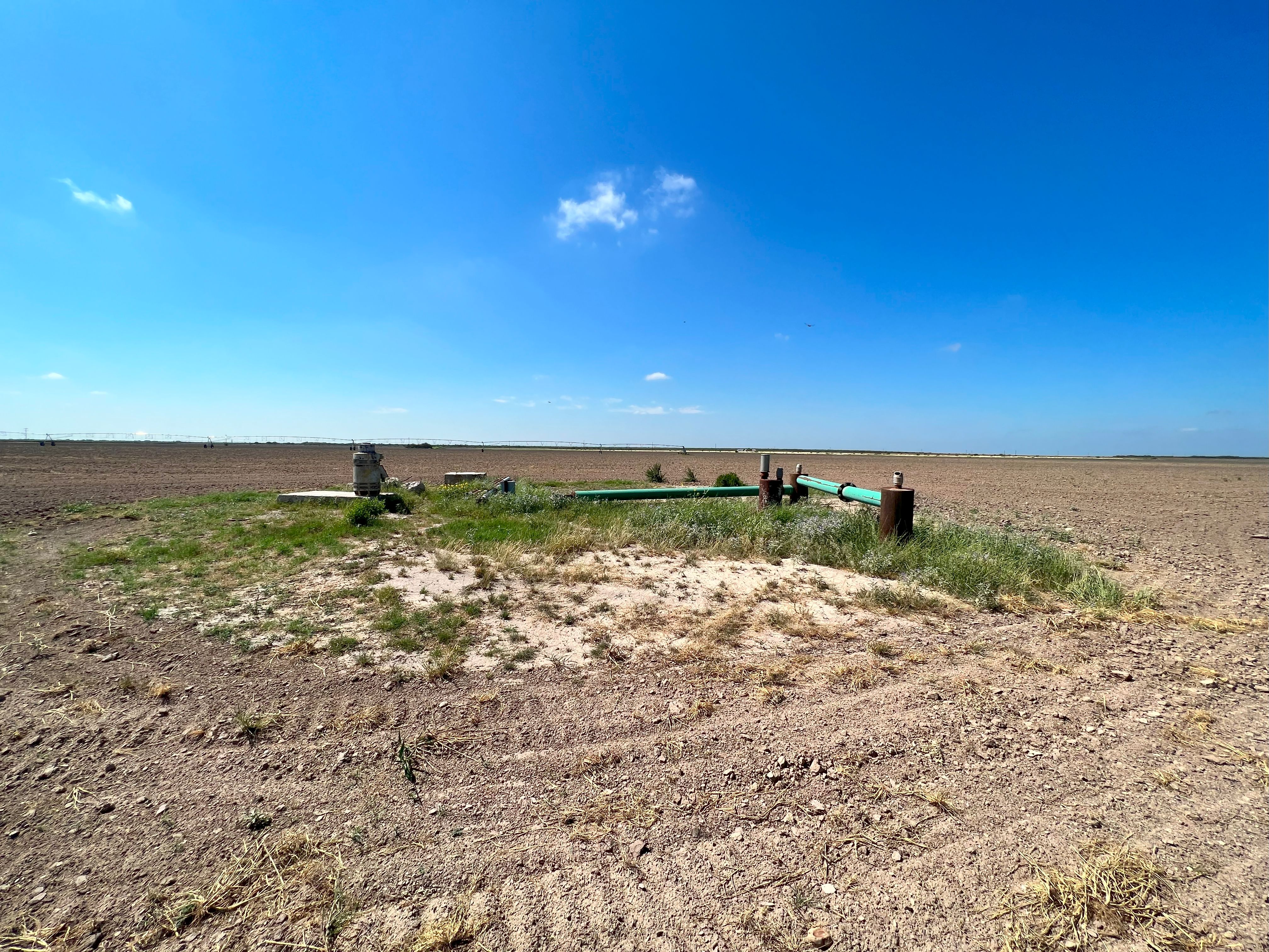  375+/- La Pryor Farm, Zavala County , La Pryor, TX 78872 - 物件實景