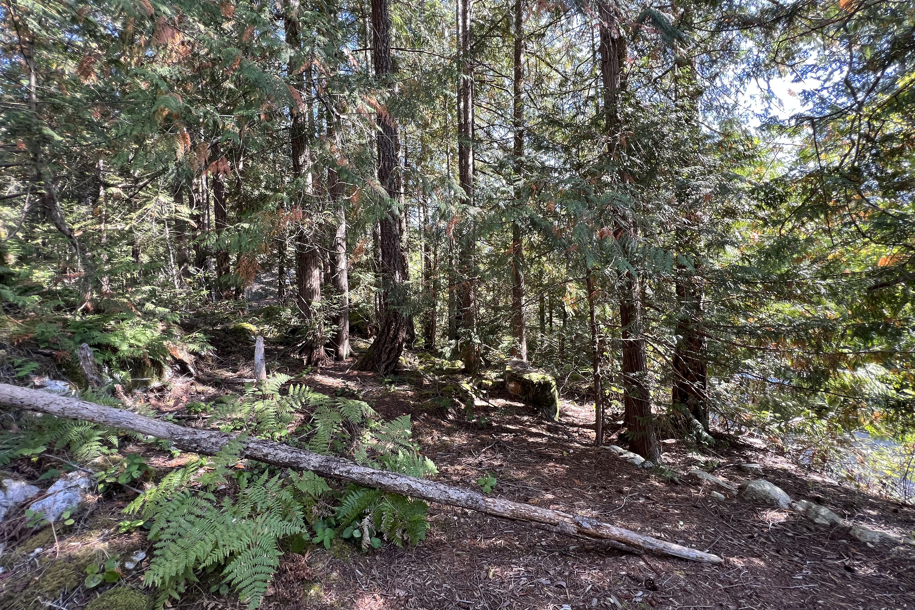  Sechelt, Sunshine Coast - 物件實景