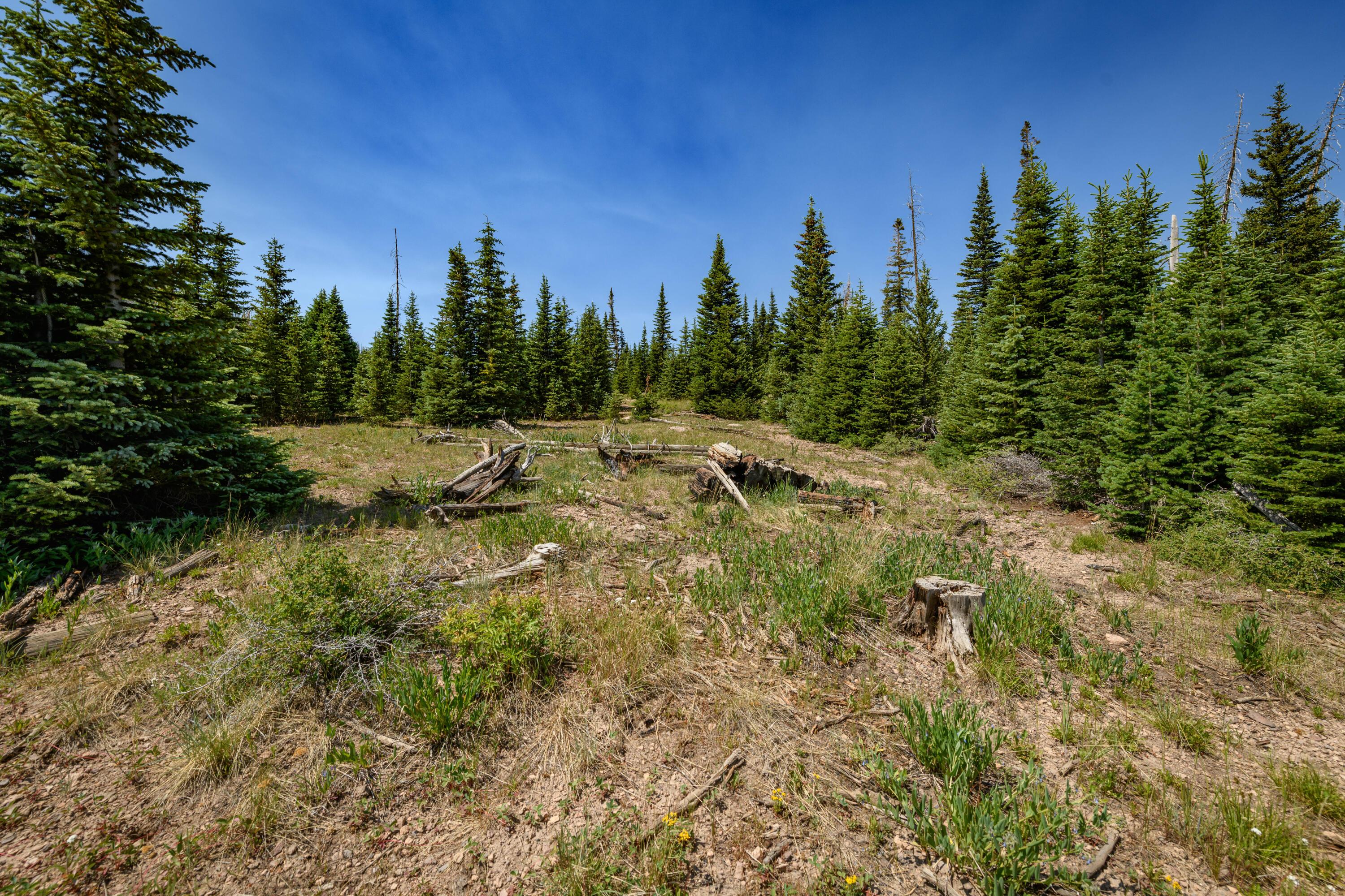 Brian Head, Utah, 84719, United States, ,Residential,For Sale,1983470