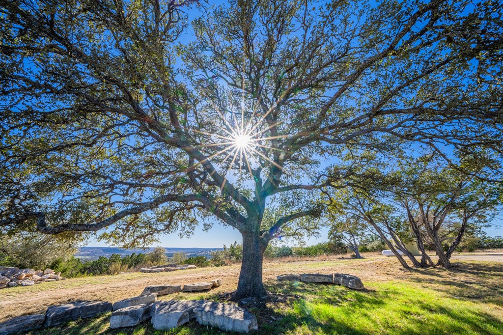 Kerrville, Texas, 78028, United States, 4 Bedrooms Bedrooms, ,5 BathroomsBathrooms,Residential,For Sale,1740072