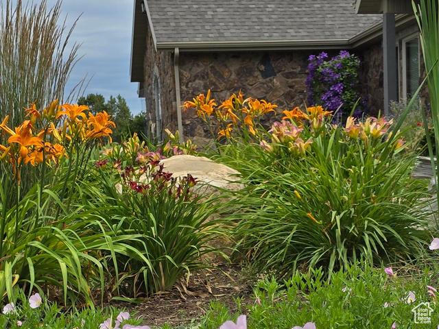 Fairview, Utah, 84629, United States, 4 Bedrooms Bedrooms, ,3 BathroomsBathrooms,Residential,For Sale,1846278