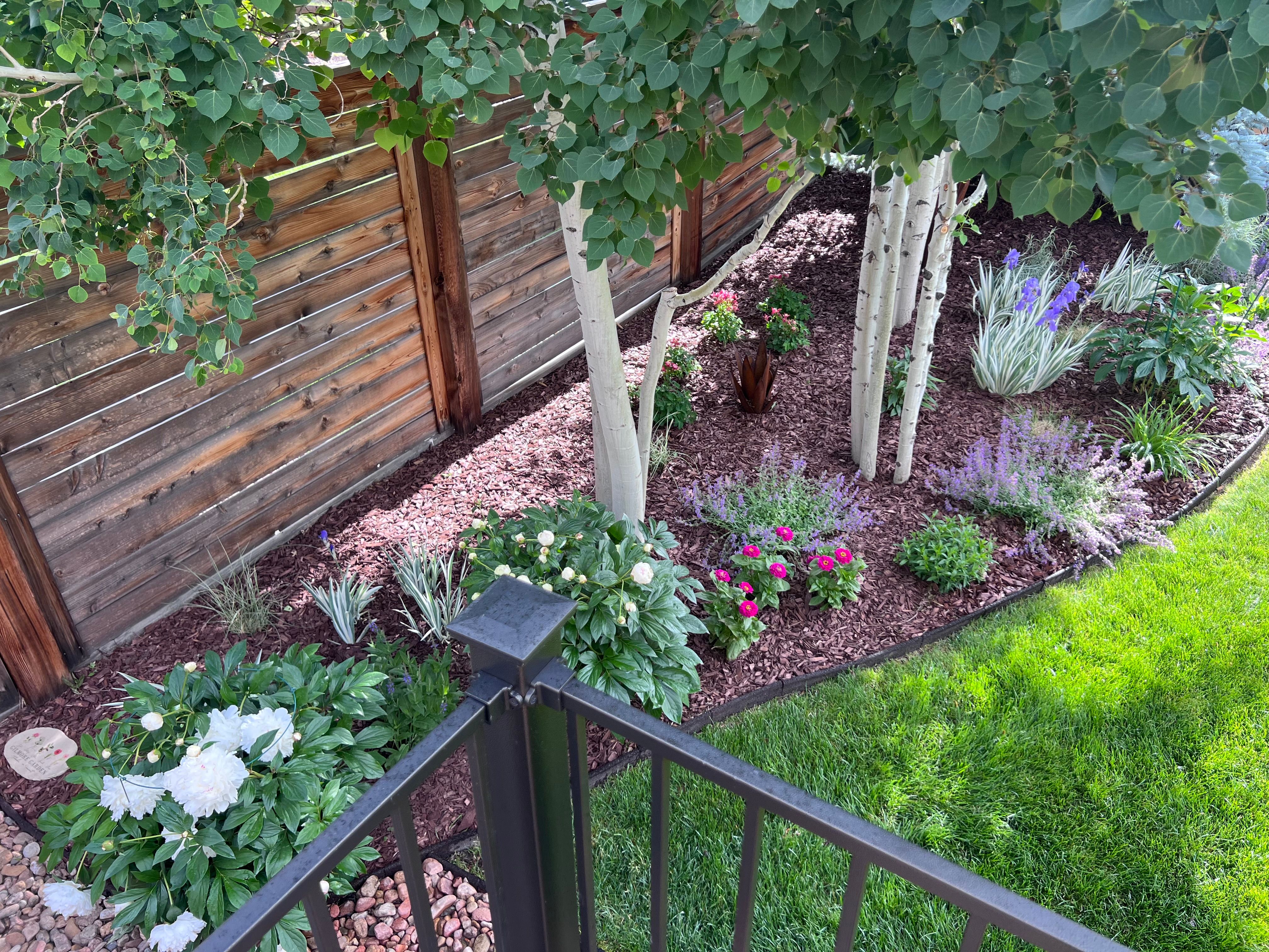  Thoughtfully  Updated and Move-In Ready - 物件實景