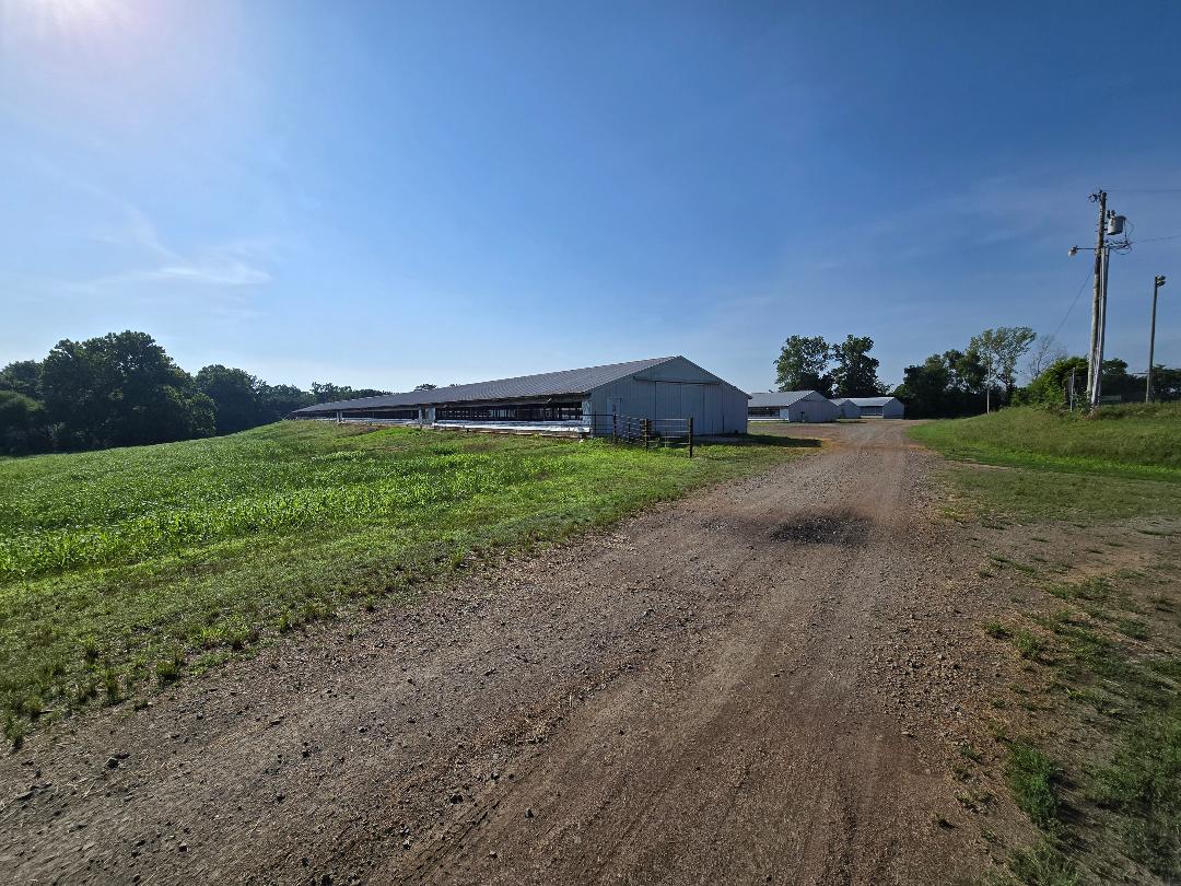 Lamar, Arkansas, 72846, United States, ,Residential,For Sale,2048201