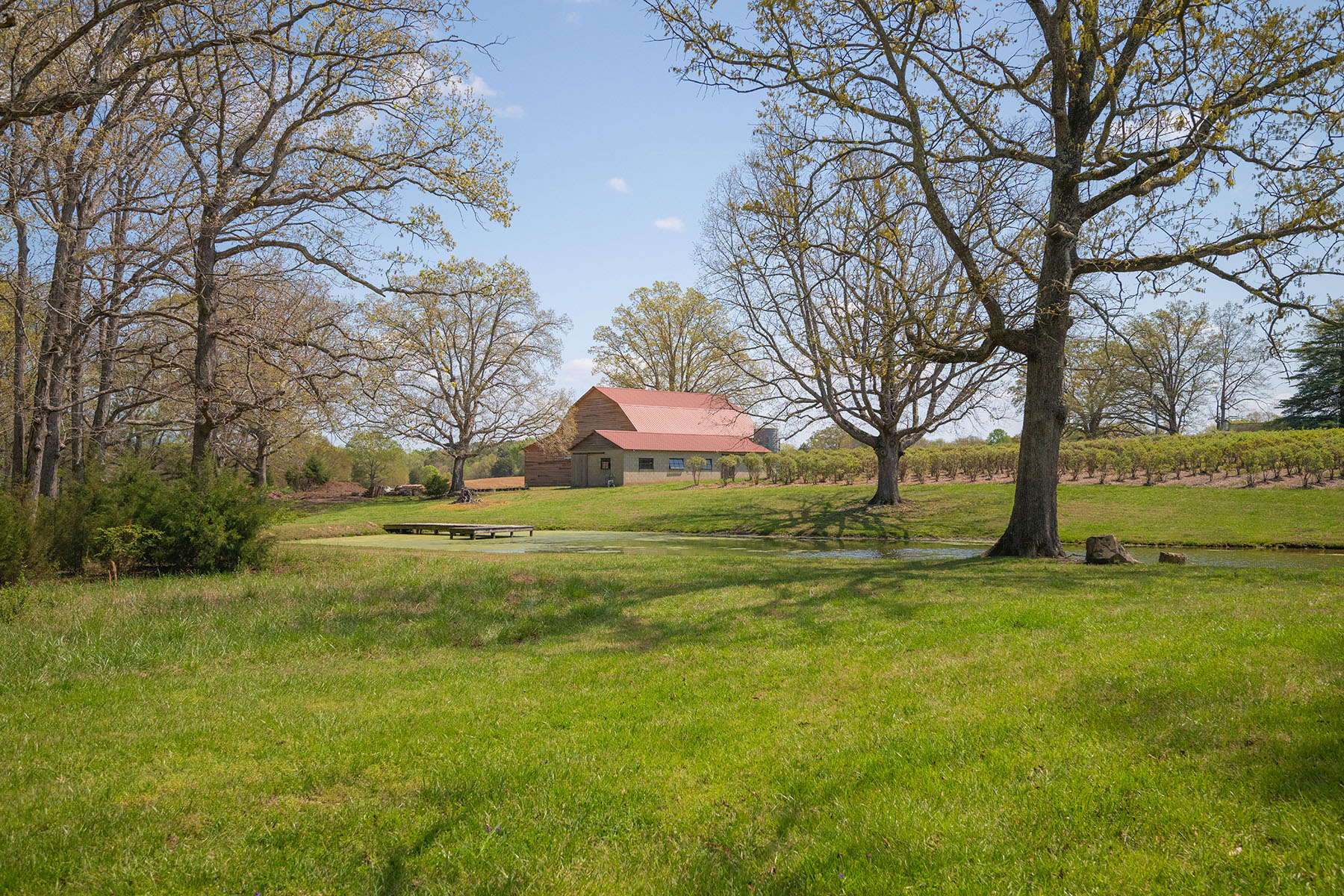  Albemarle - 物件實景