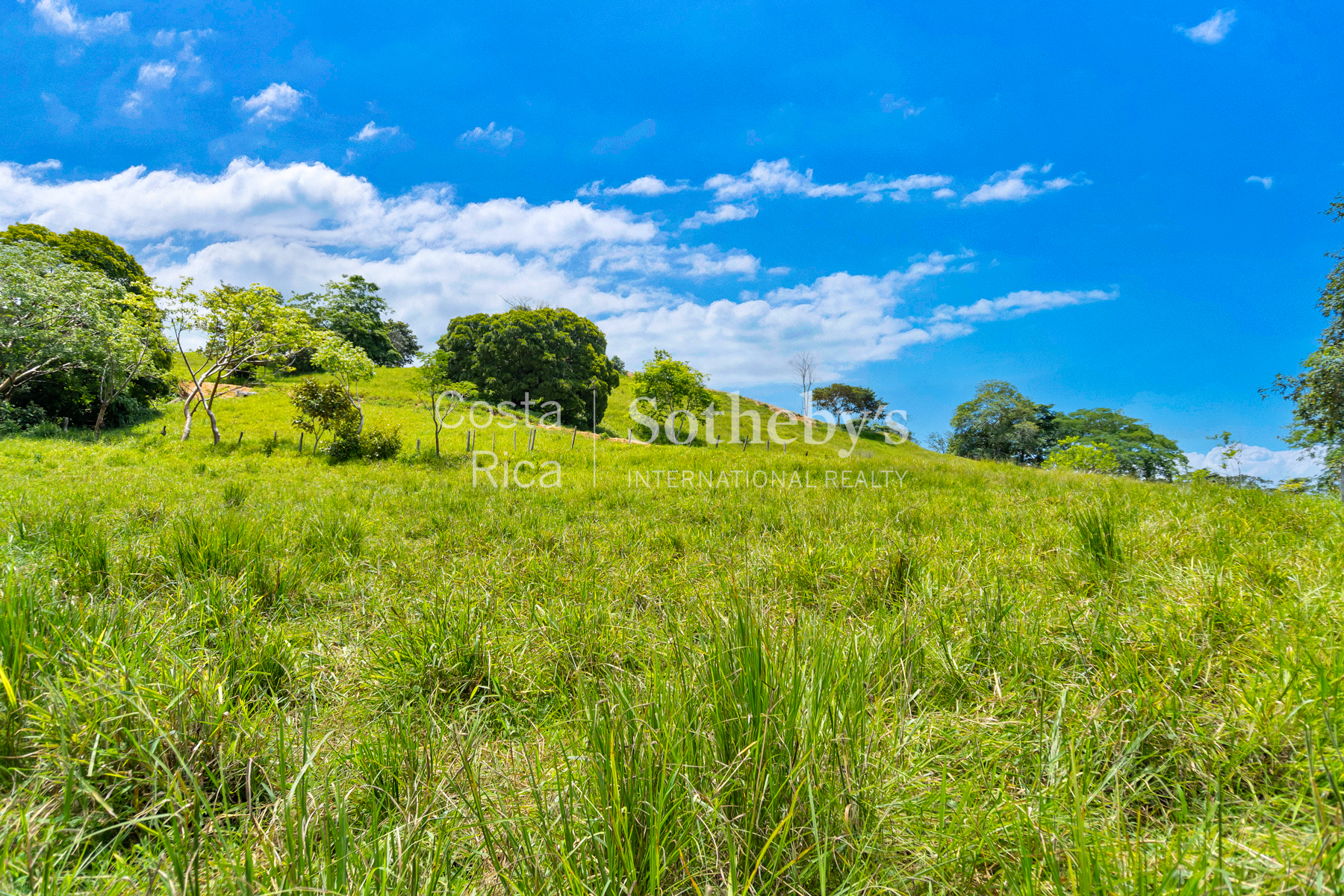  Vistamar Esparza Development Land - 物件實景