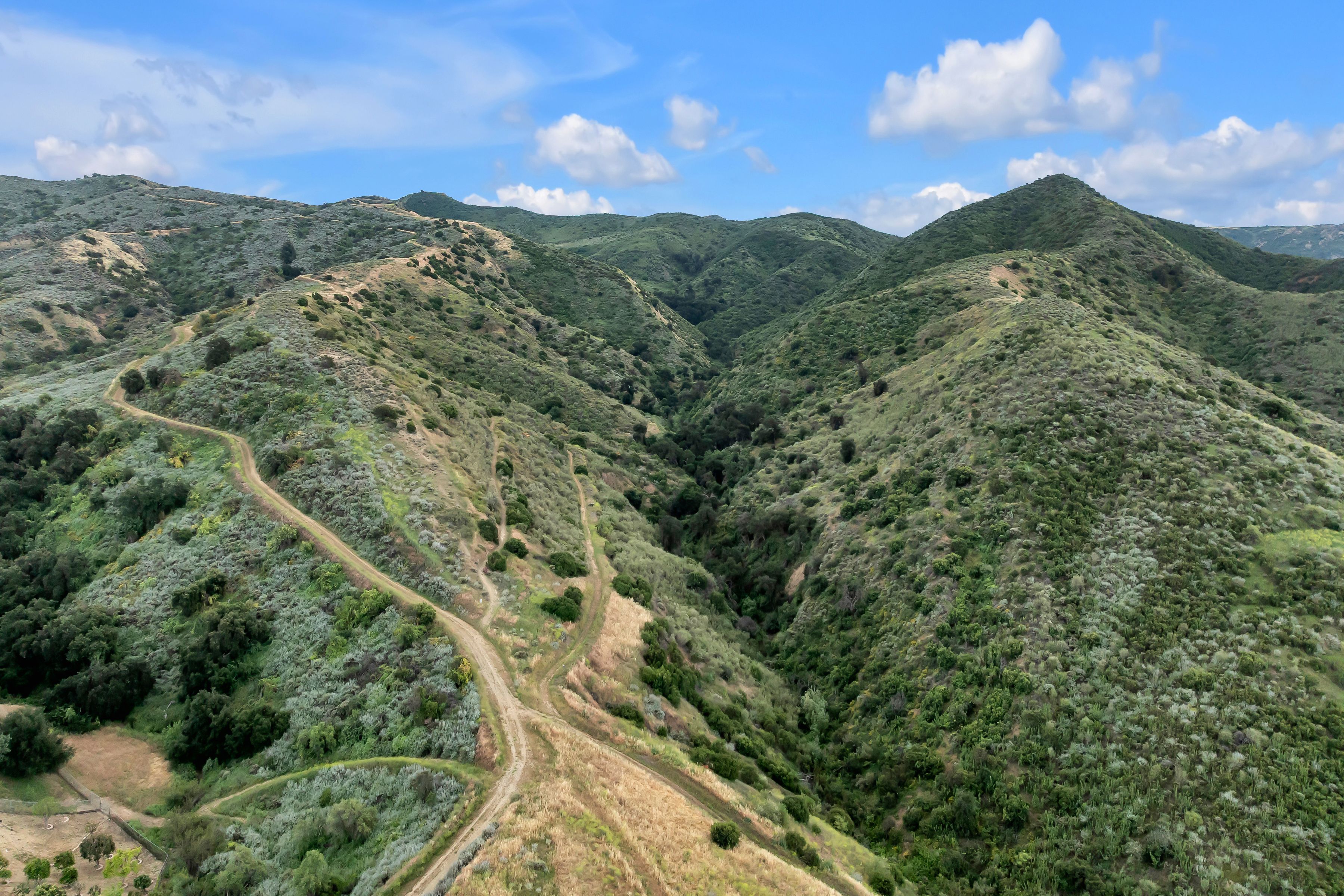  Bridle Path Equestrian Estate - 物件實景