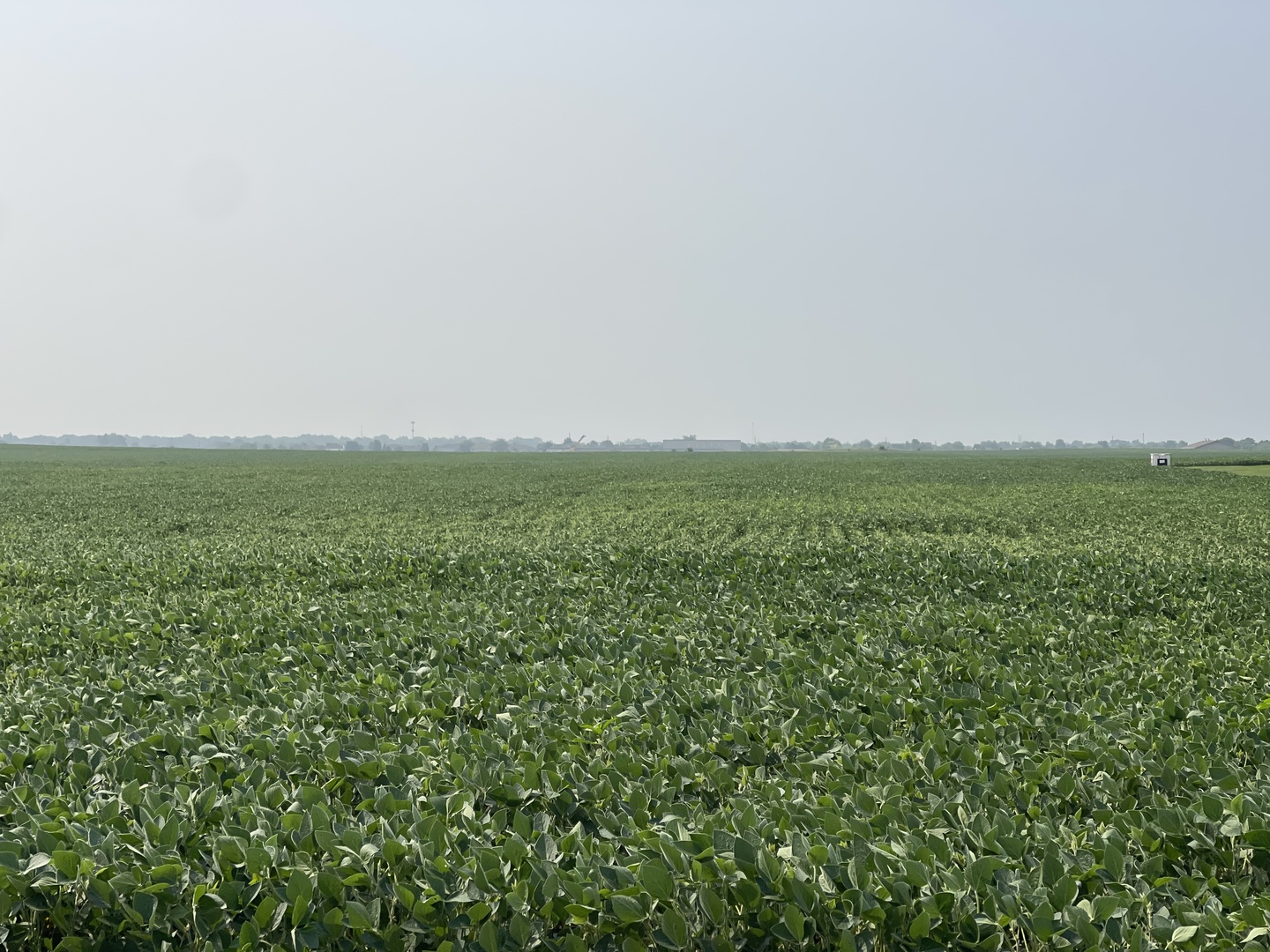 Manhattan, Illinois, 60442, United States, ,Residential,For Sale,1909326