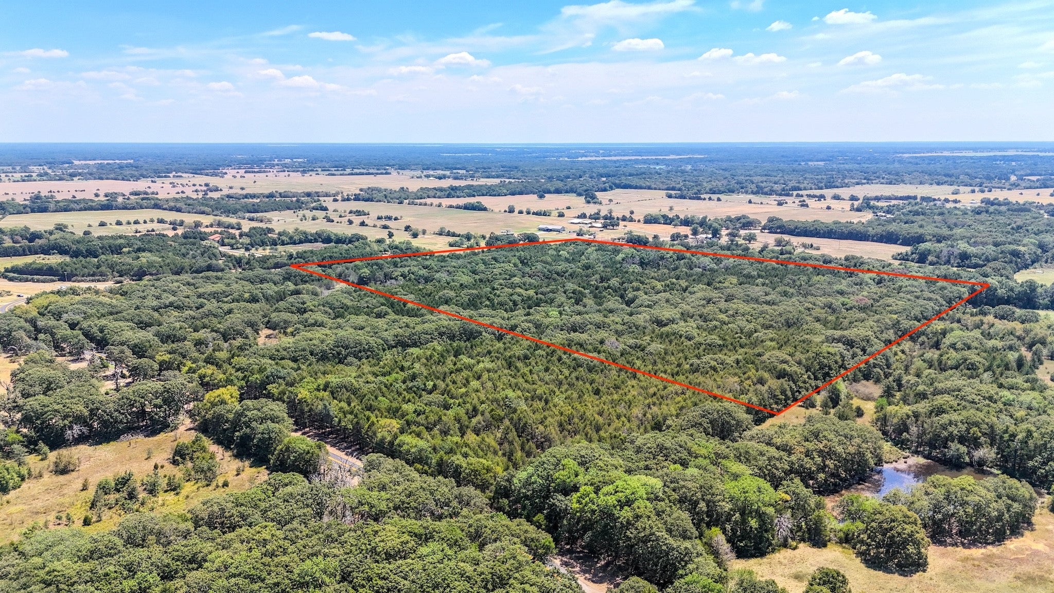 Ivanhoe, Texas, 75447, United States, ,Land,For Sale,1973742