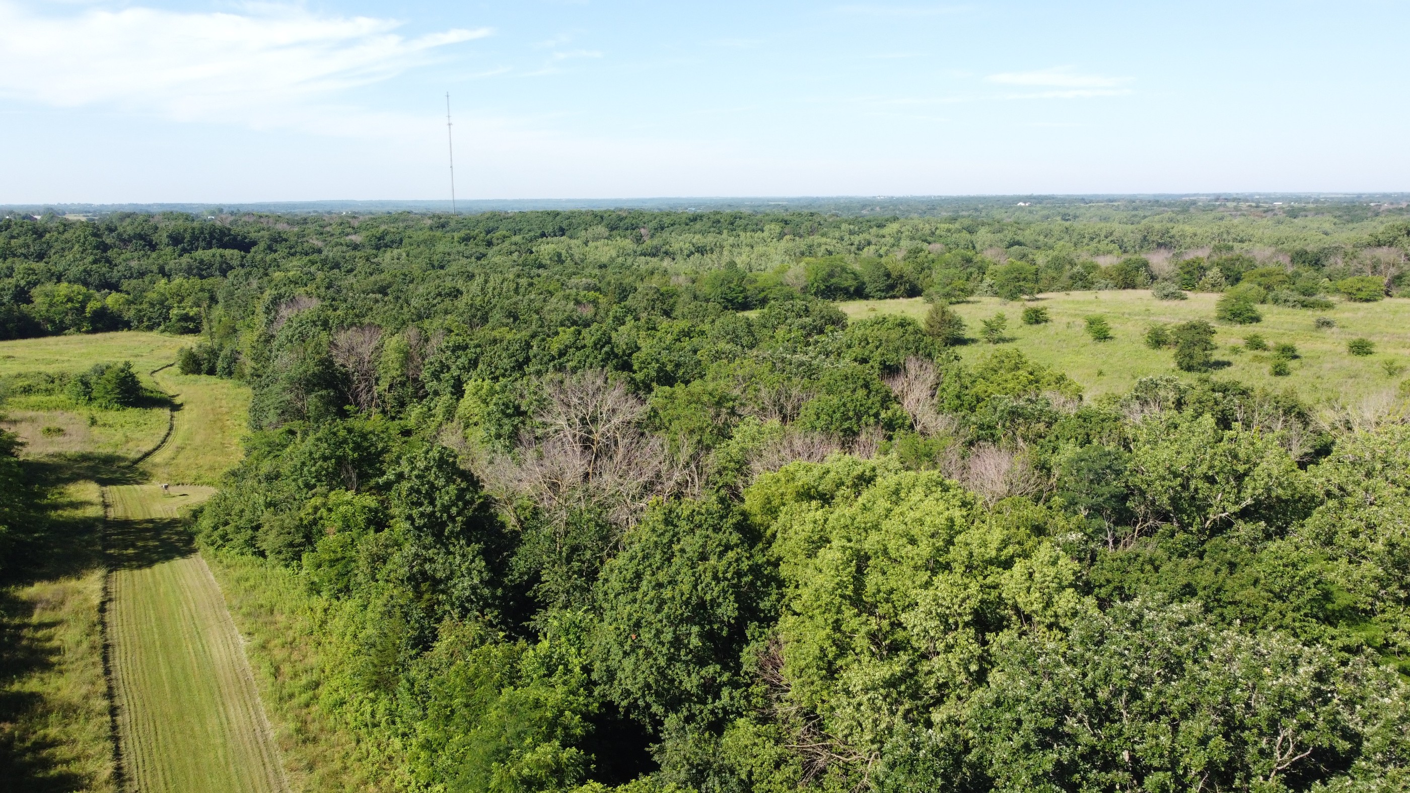 Princeton, Missouri, 64673, United States, ,Residential,For Sale,1943016