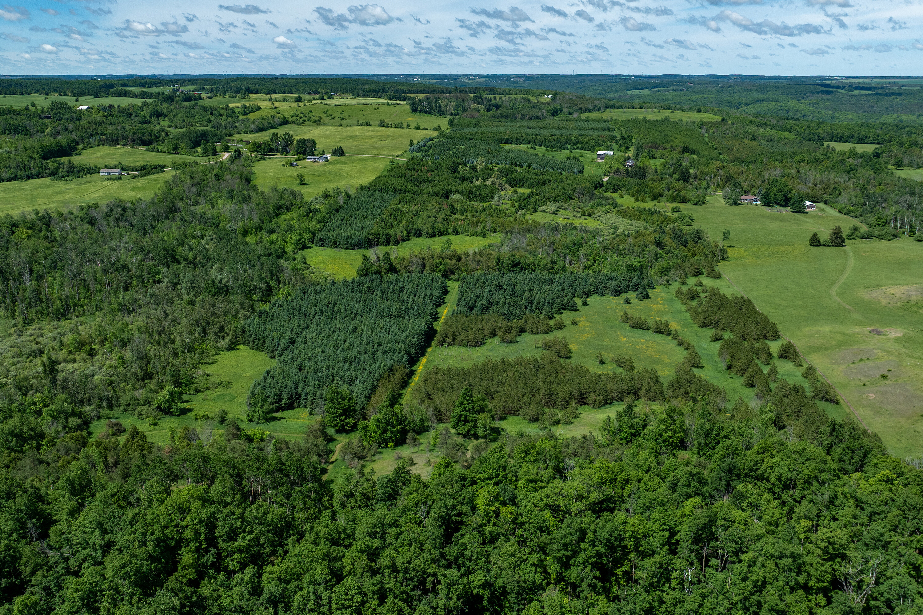  50 acre parcel in Mulmur ON - 物件實景