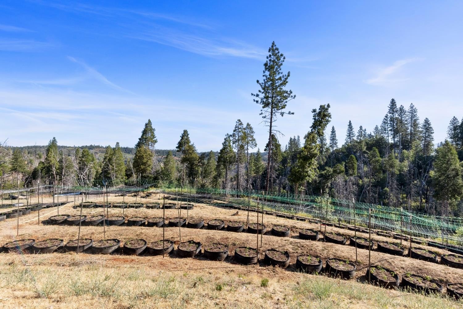 Mountain Ranch, California, 95246, United States, ,Land,For Sale,1981446