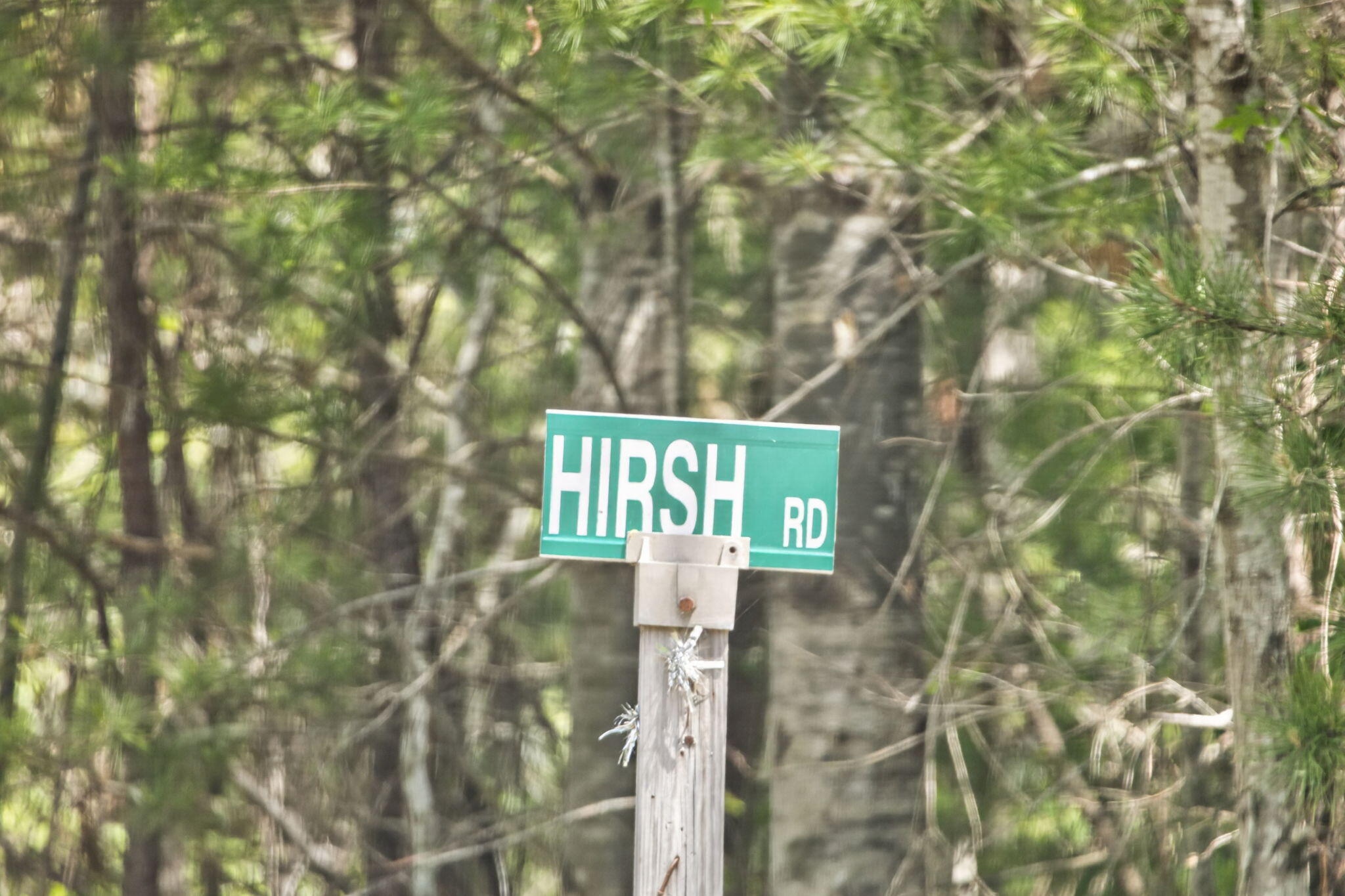  20 Hirsch Road - 物件實景