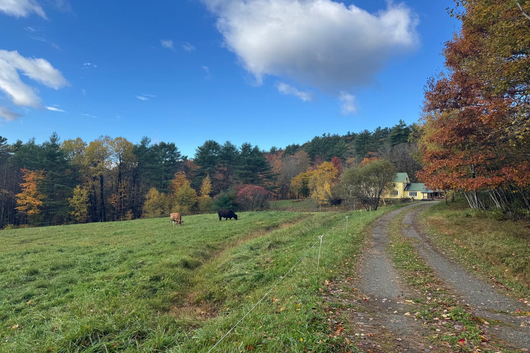  1276 Windham Hill Road - 物件實景