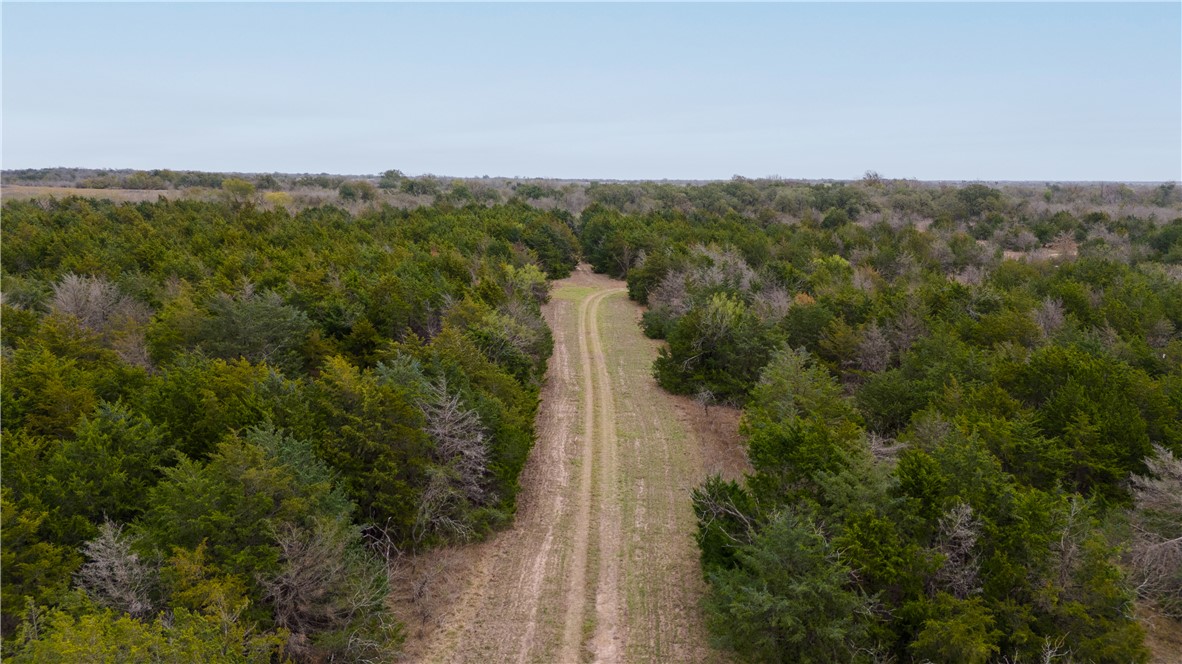 Thornton, Texas, 76687, United States, ,Land,For Sale,2003074