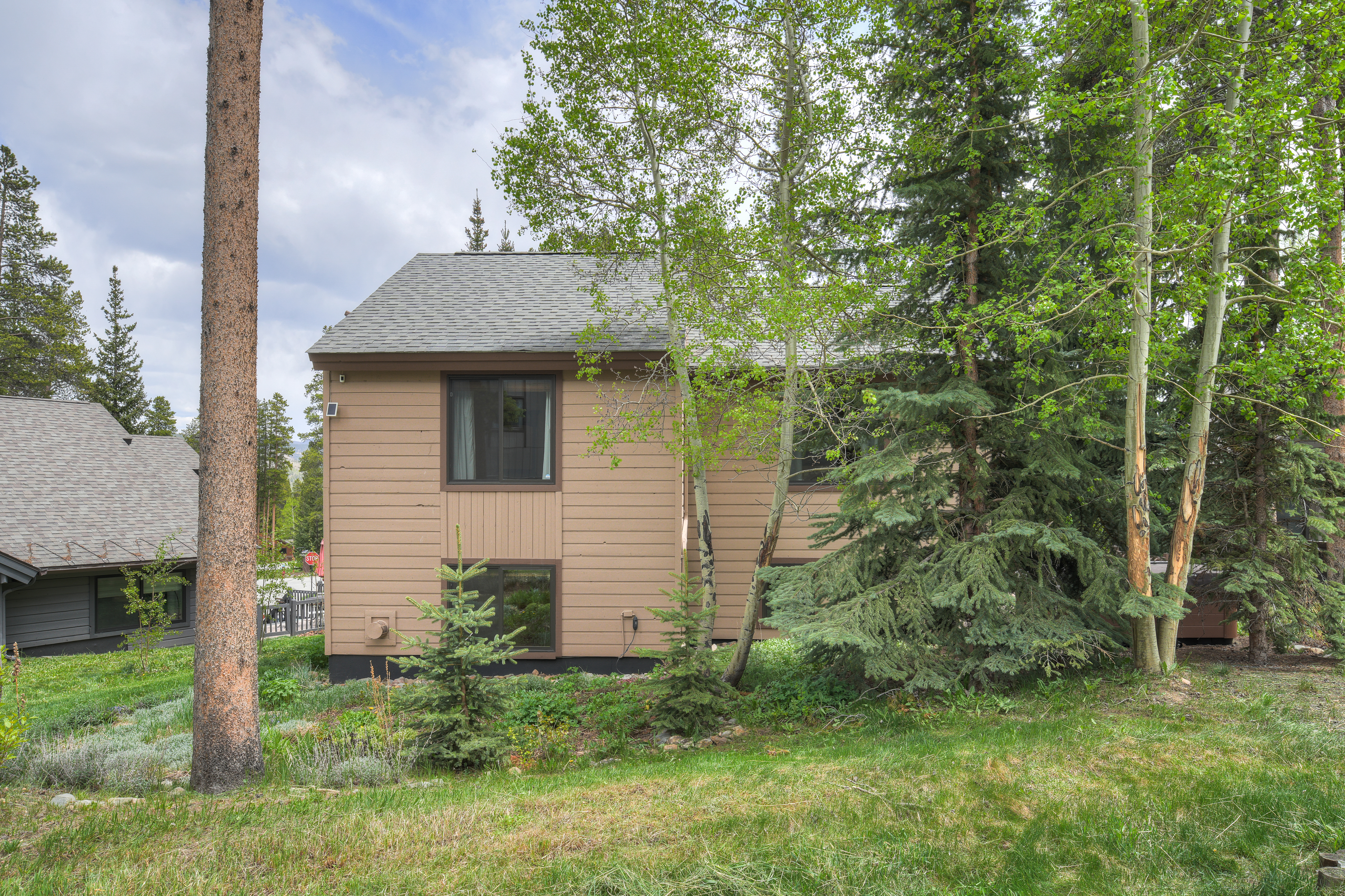  114 Park Forest Drive, Breckenridge, CO, 80424 - 物件實景