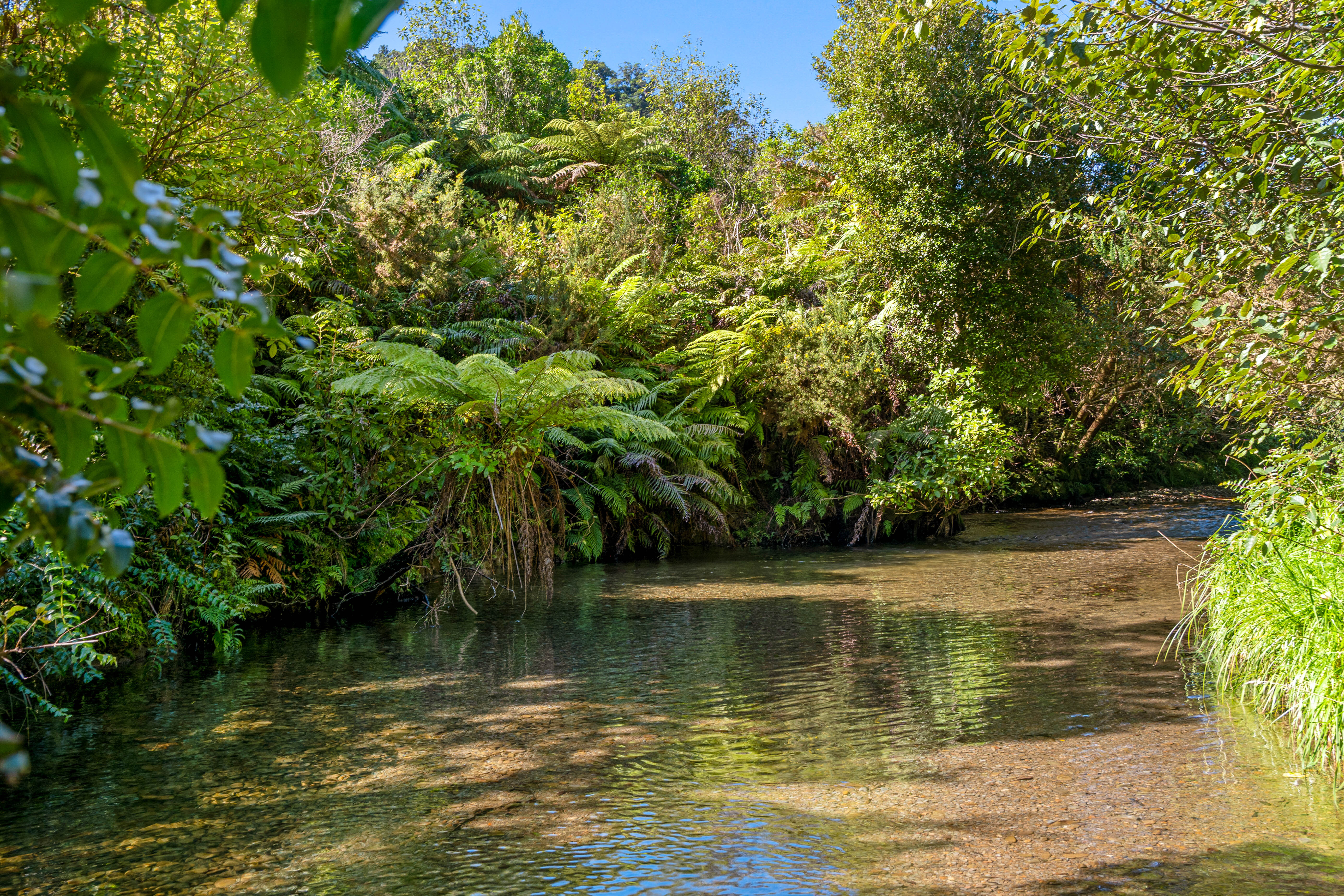  Ultimate West Coast Escape - 物件實景