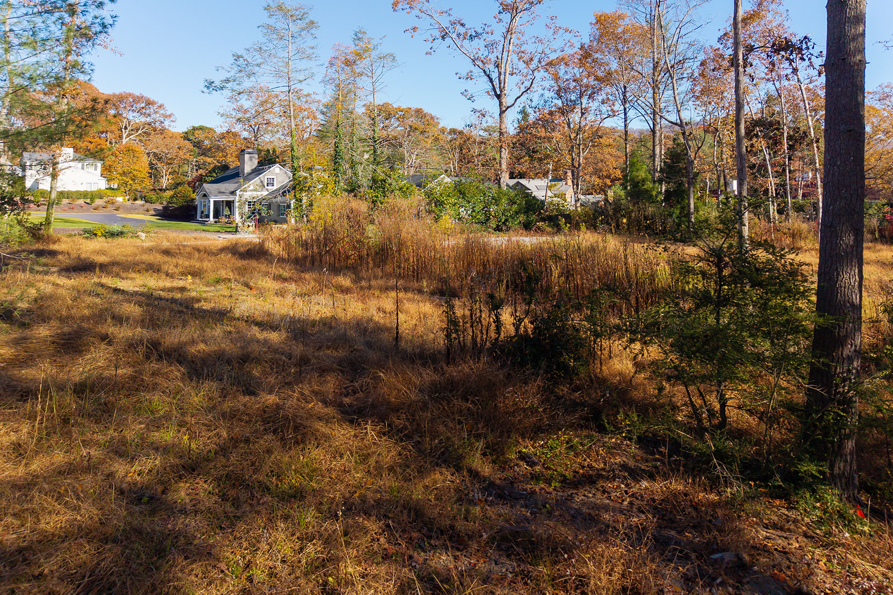  ASHEVILLE - 物件實景