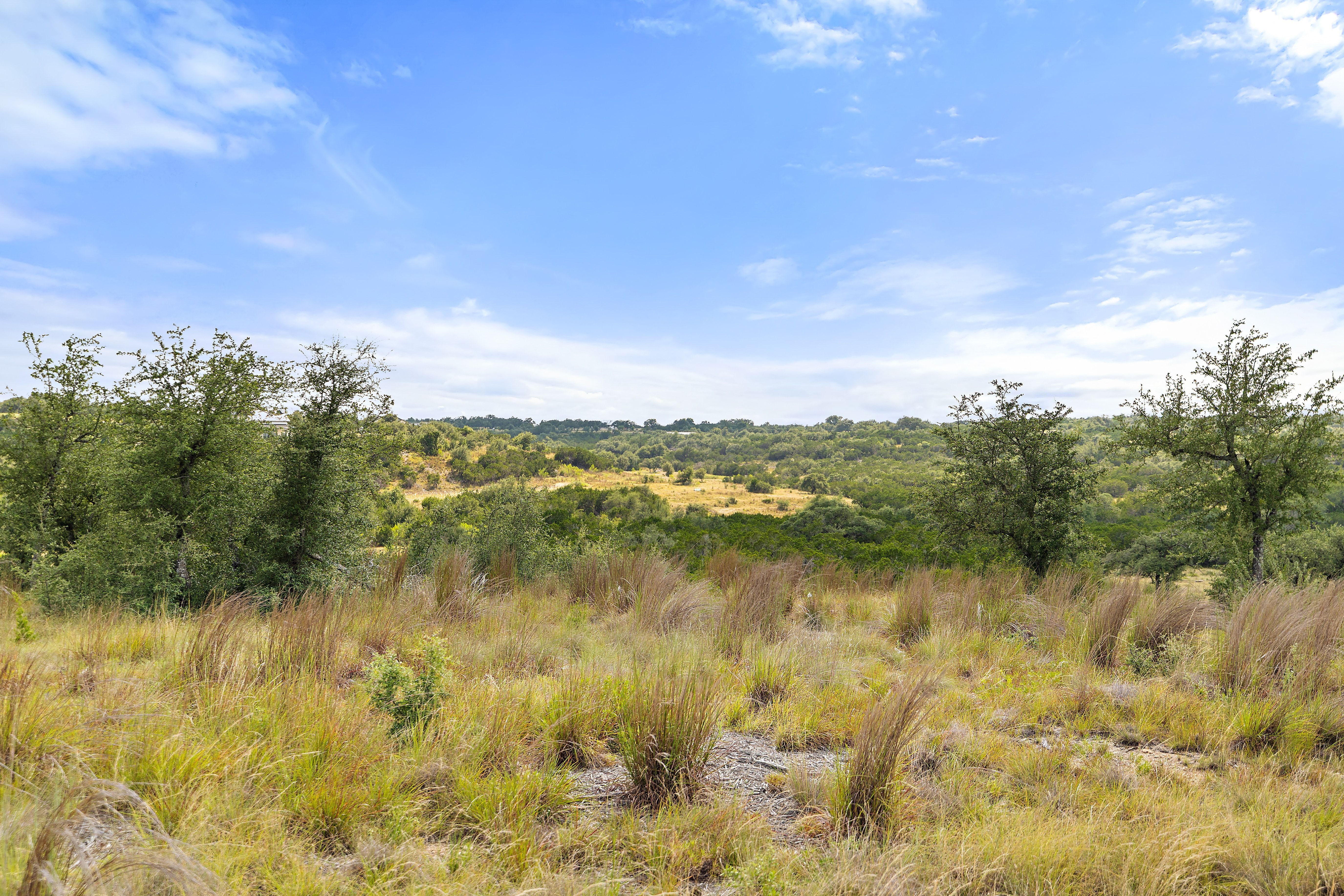  Dream Home Worthy 5 Acre Lot - 147 East Flying Owl Drive - 物件實景