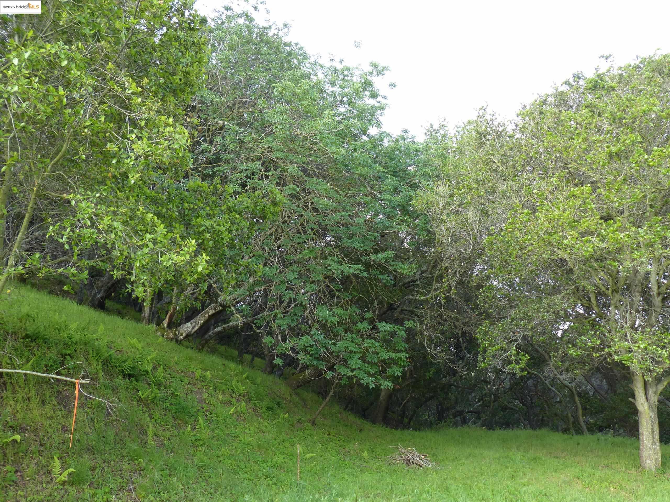 Oakland, California, 94605, United States, ,Land,For Sale,1958207