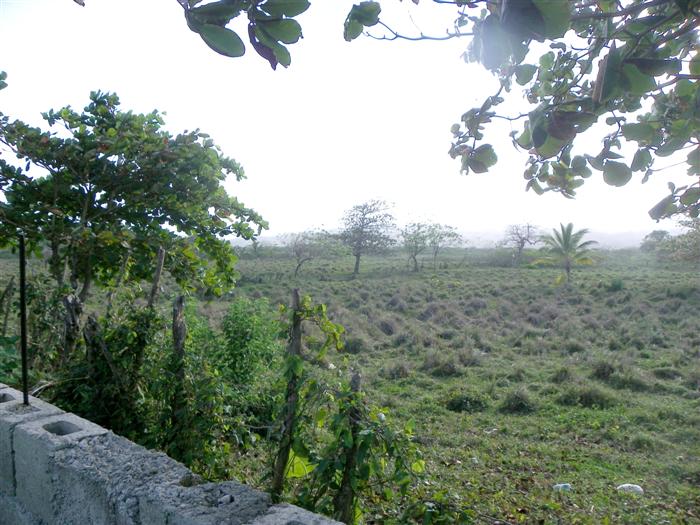 Cabarete, DO, ,Land,For Sale,1621301