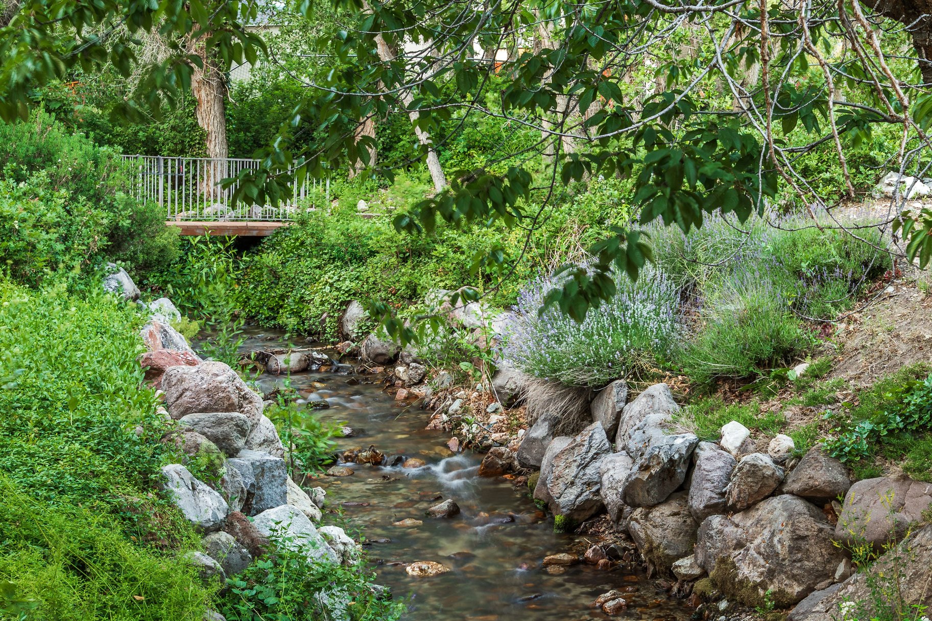  Private Gated Cottonwood Heights Retreat With Seasonal Stream & Mountain views - 物件實景