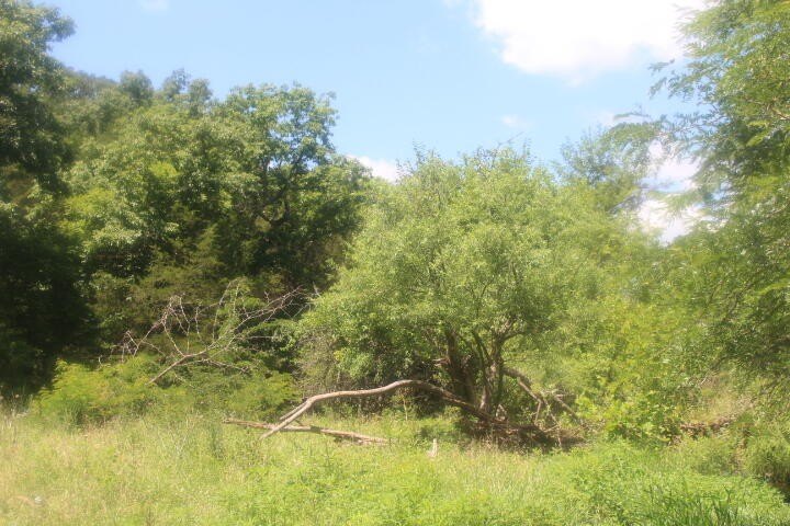 Polk, Missouri, 65727, United States, ,Land,For Sale,1980569