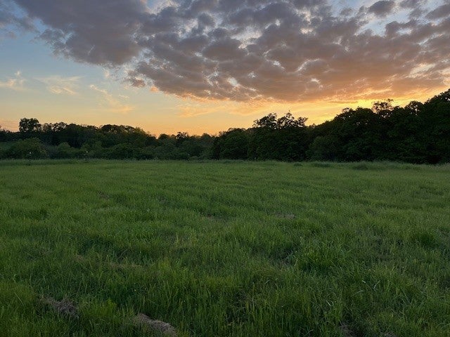 Bentonville, Arkansas, 72712, United States, ,Land,For Sale,1993490