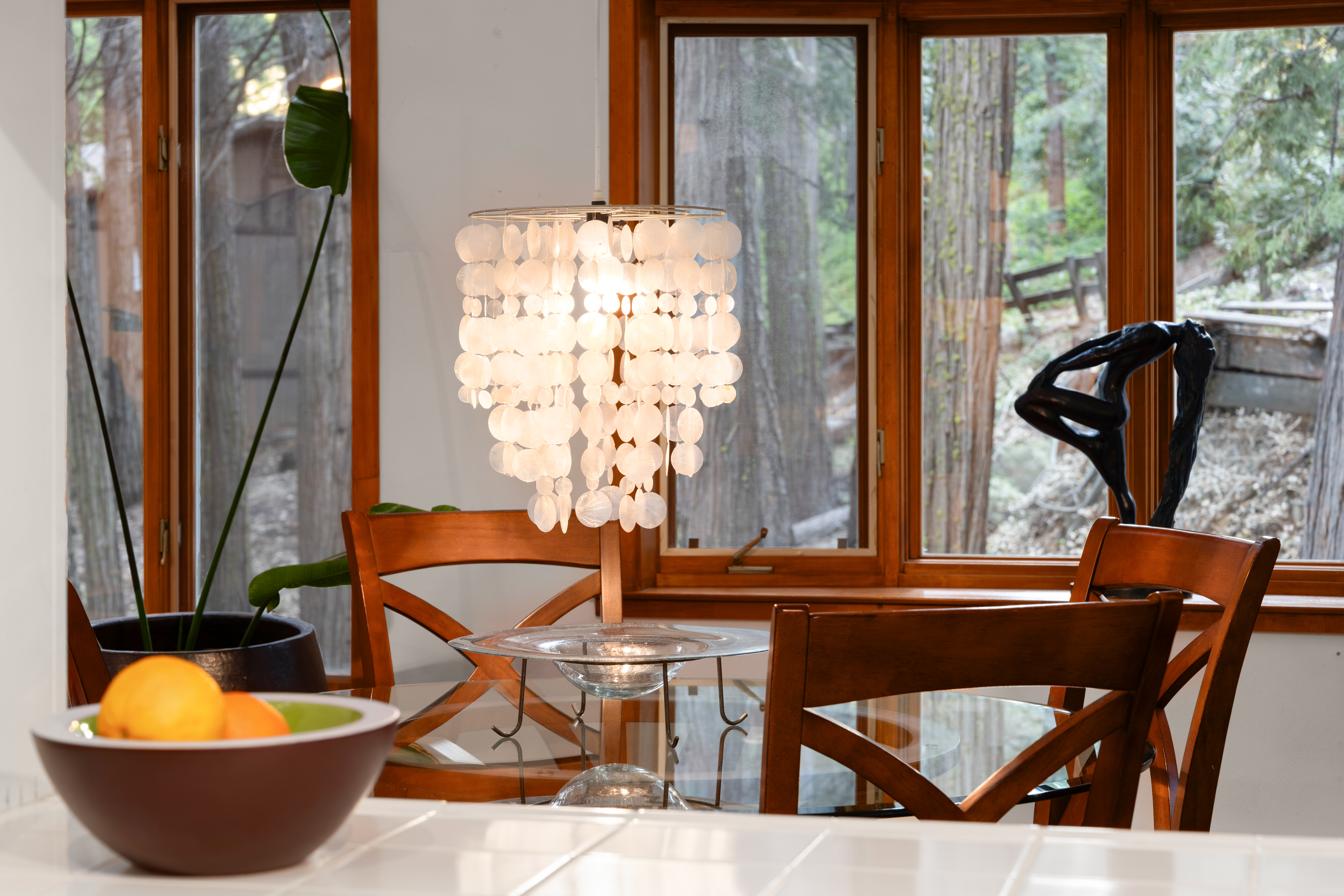  6742 Diamond Drive, Pollock Pines, CA 95726 - 物件實景
