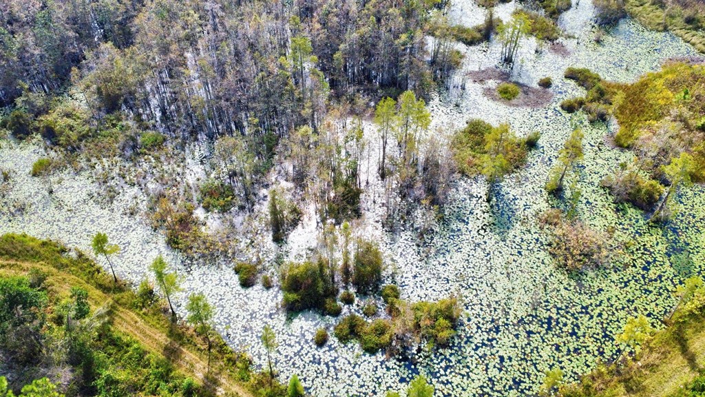 Valdosta, Georgia, 31601, United States, 4 Bedrooms Bedrooms, ,3 BathroomsBathrooms,Residential,For Sale,2005442