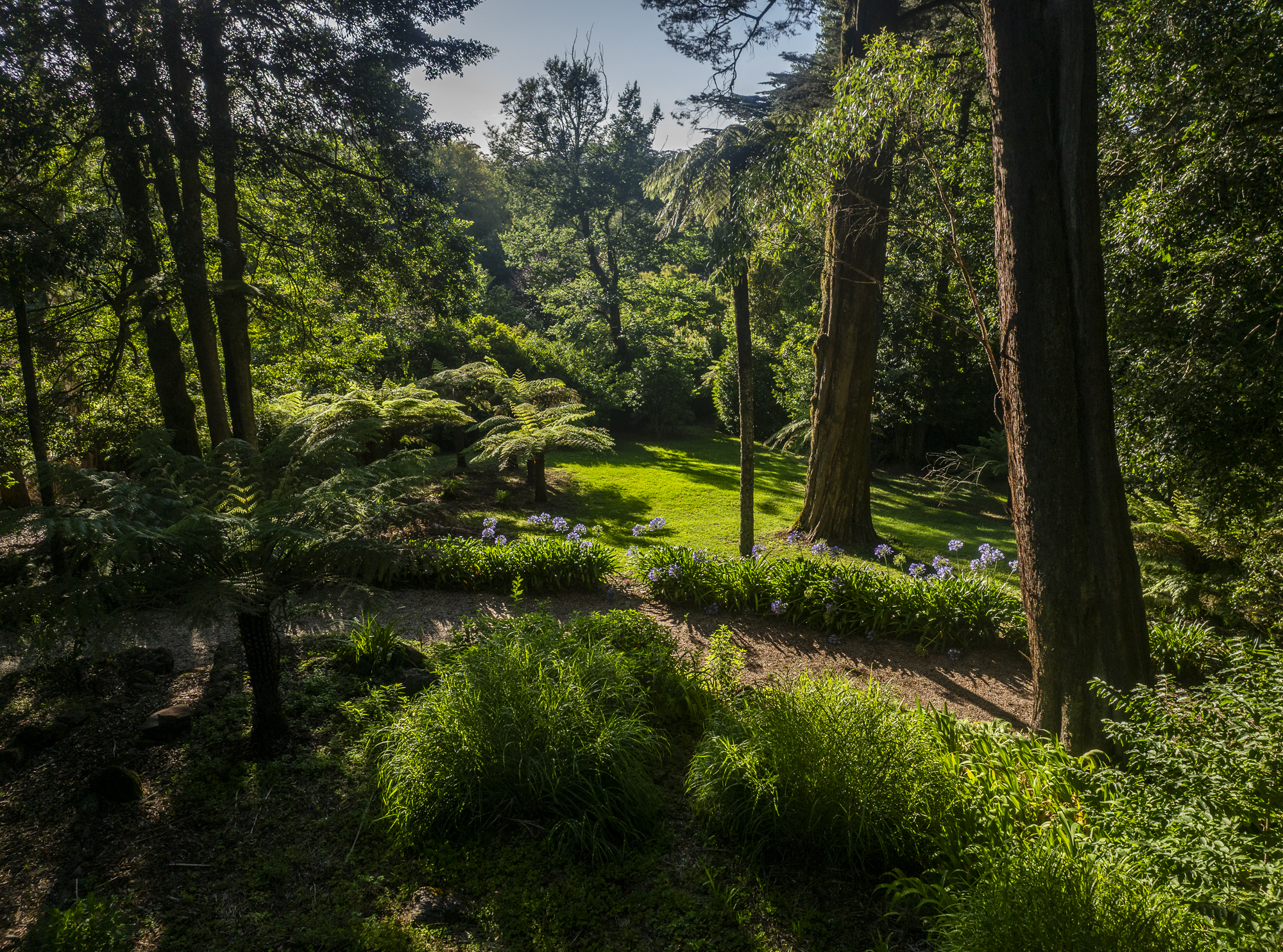  Sefton Hall - 物件實景