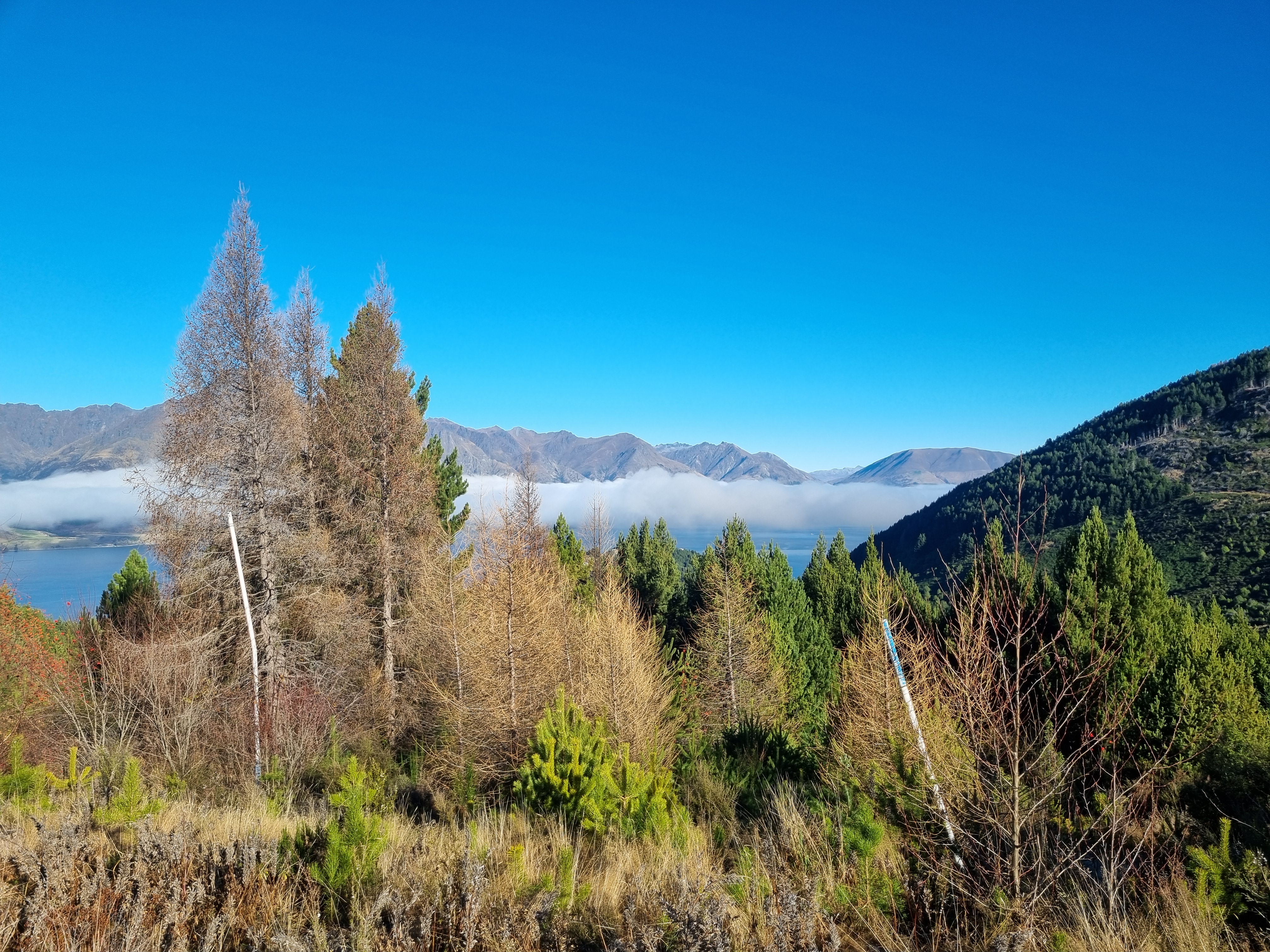  Alpine Charm With Extraordinary Possibilities - 物件實景