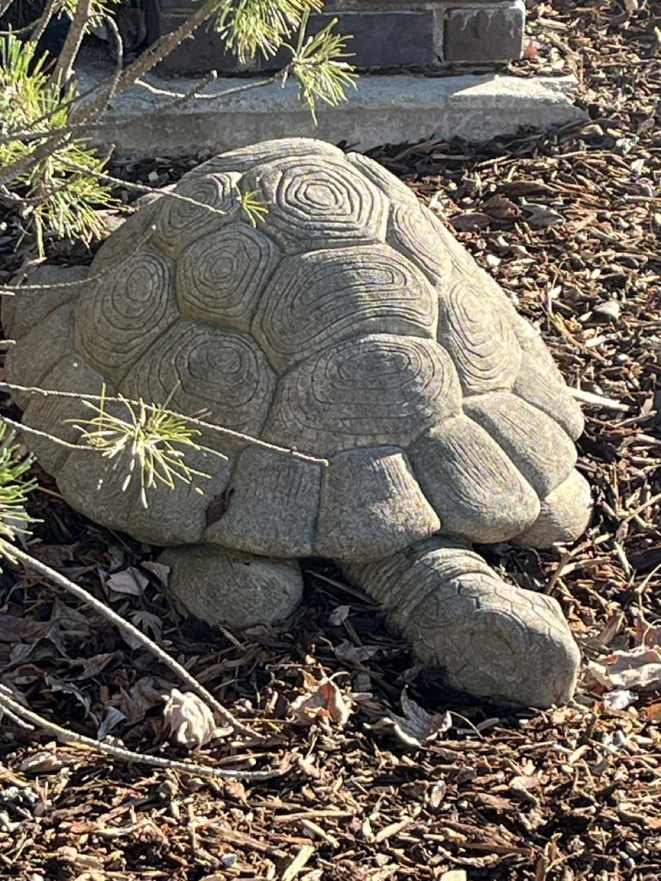 Grass Valley, California, 95945, United States, 3 Bedrooms Bedrooms, ,3 BathroomsBathrooms,Residential,For Sale,2012341