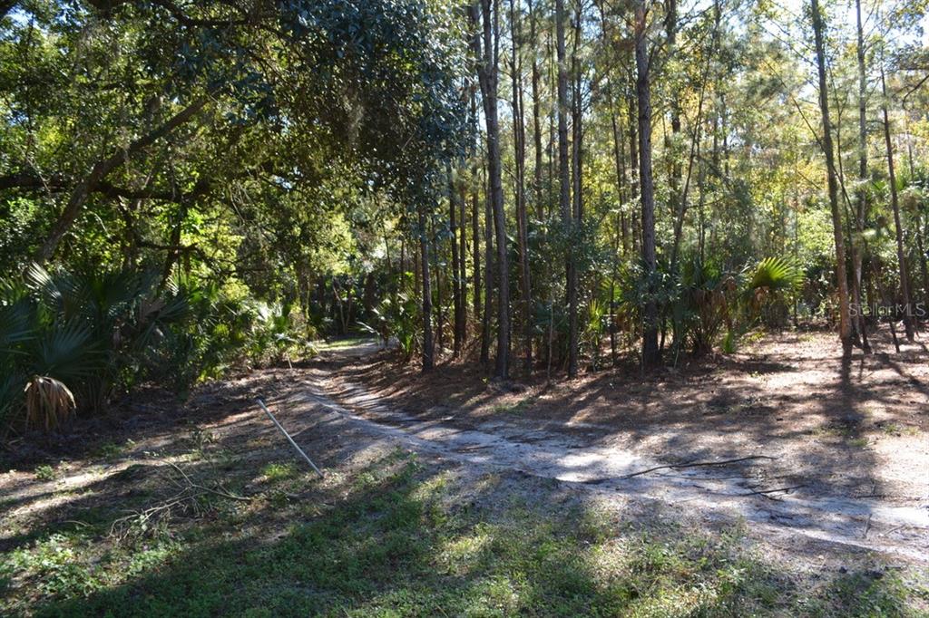 Sanford, Florida, 32773, United States, ,Land,For Sale,1987674