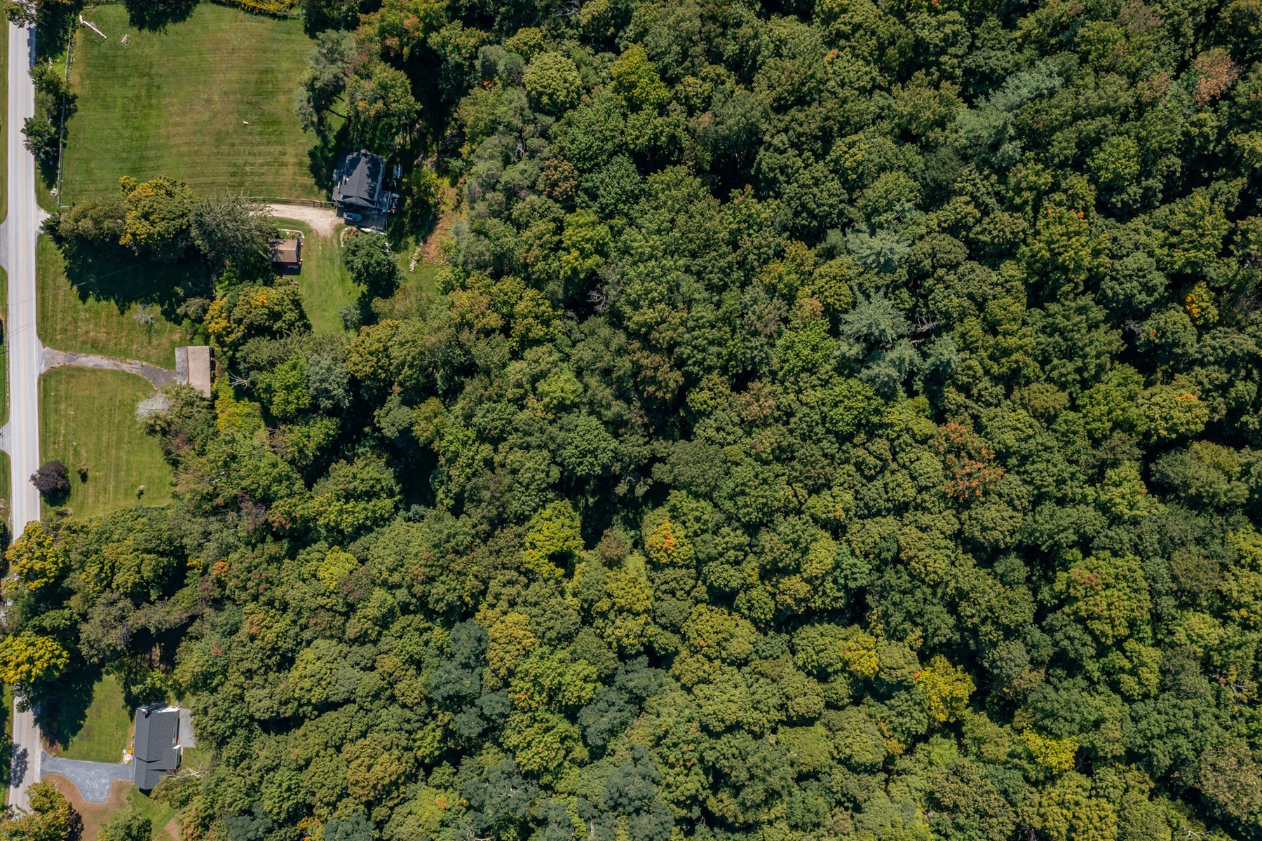  2937 Dorset West Road - 物件實景