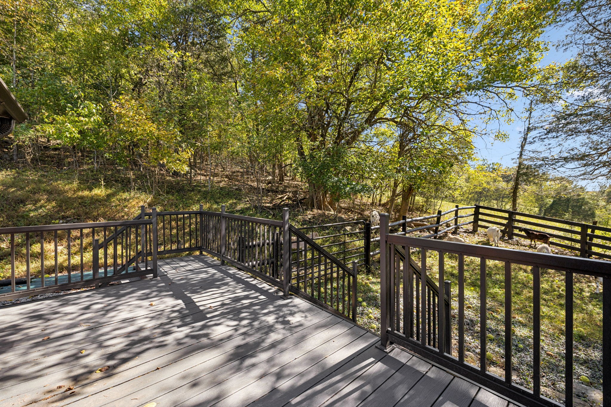  2846 Fuller Hollow Rd, Cornersville, TN, 37047 - 物件實景