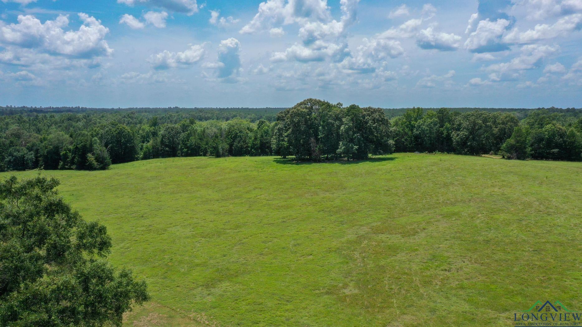 Linden, Texas, 75563, United States, 3 Bedrooms Bedrooms, ,3 BathroomsBathrooms,Residential,For Sale,1974630