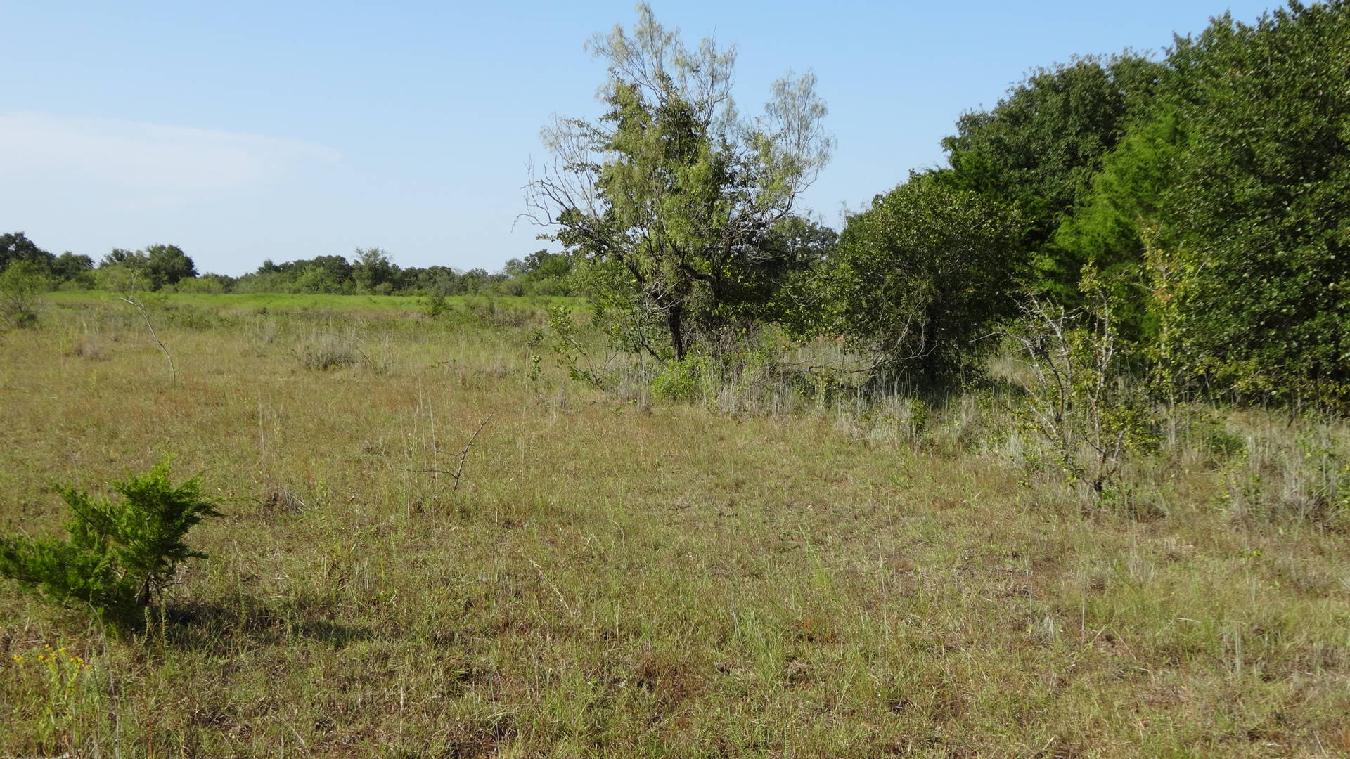0 Highway 114, Boyd, Texas, 76023, United States, ,Residential,For Sale,0 Highway 114,1008641