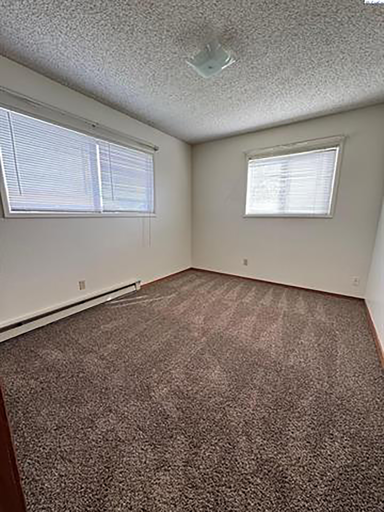  New Paint And New Flooring - 物件實景