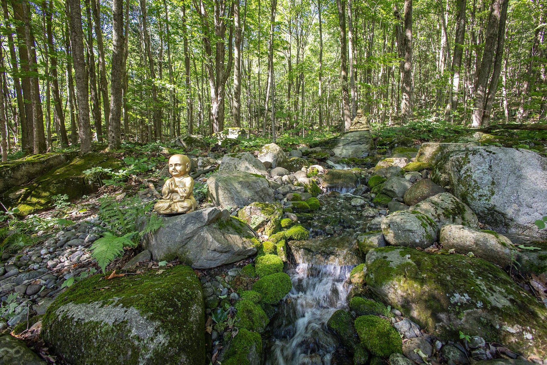  Shefford, Eastern Townships - 物件實景