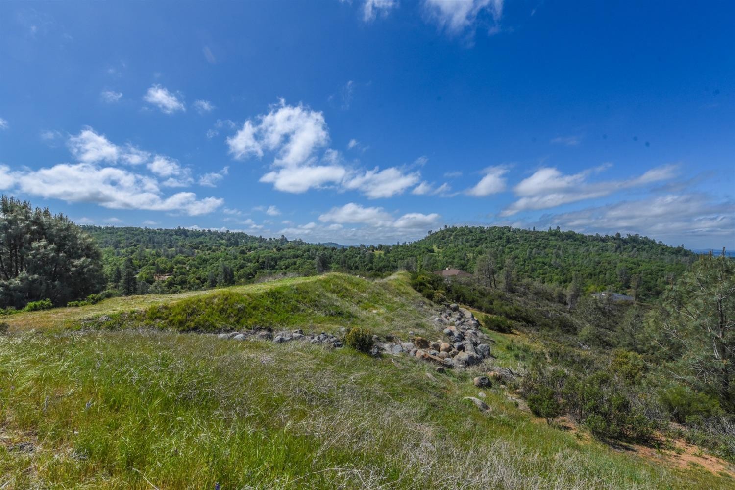 15880 Parkridge Avenue, Sonora, California, 95370, United States, ,Land,For Sale,15880 Parkridge Avenue,1432532