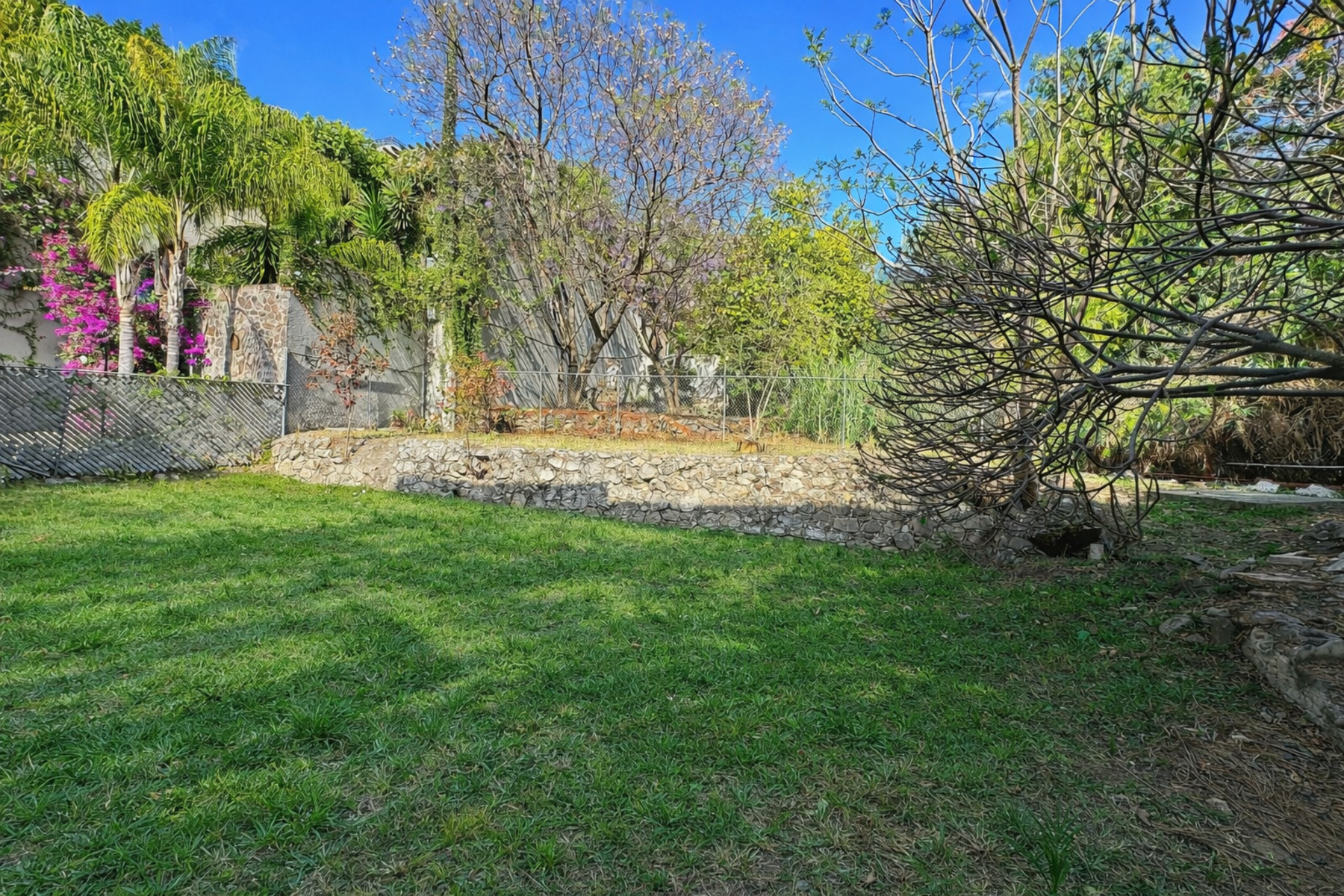  VILLAS SANTA MONICA LOT - 物件實景