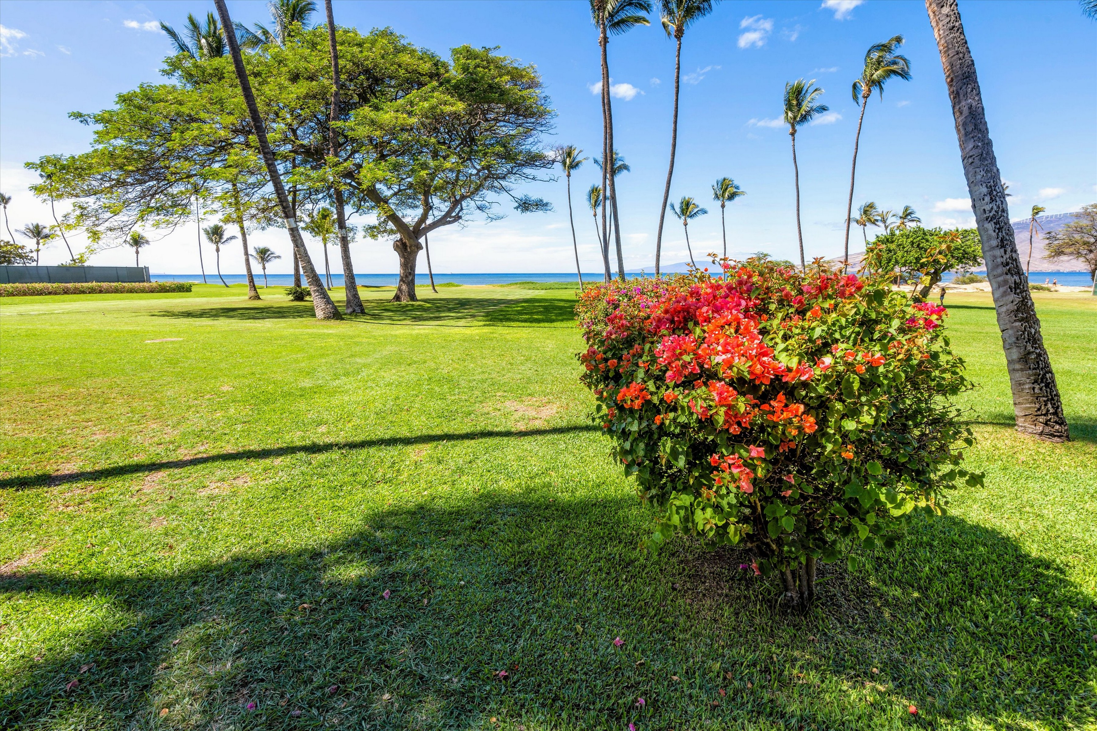  Front Row, Top Floor, Full Remodel, Ocean Views - 物件實景