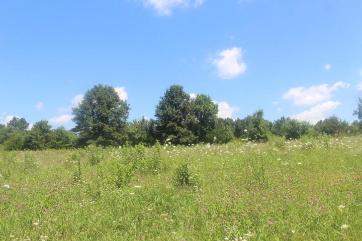 Polk, Missouri, 65727, United States, ,Land,For Sale,1980569