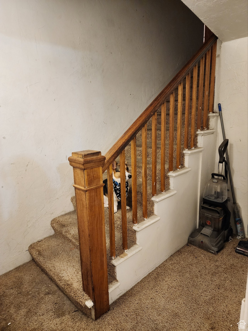 SALINA, Utah, 84654, United States, 16 Bedrooms Bedrooms, ,8 BathroomsBathrooms,Residential,For Sale,1874235