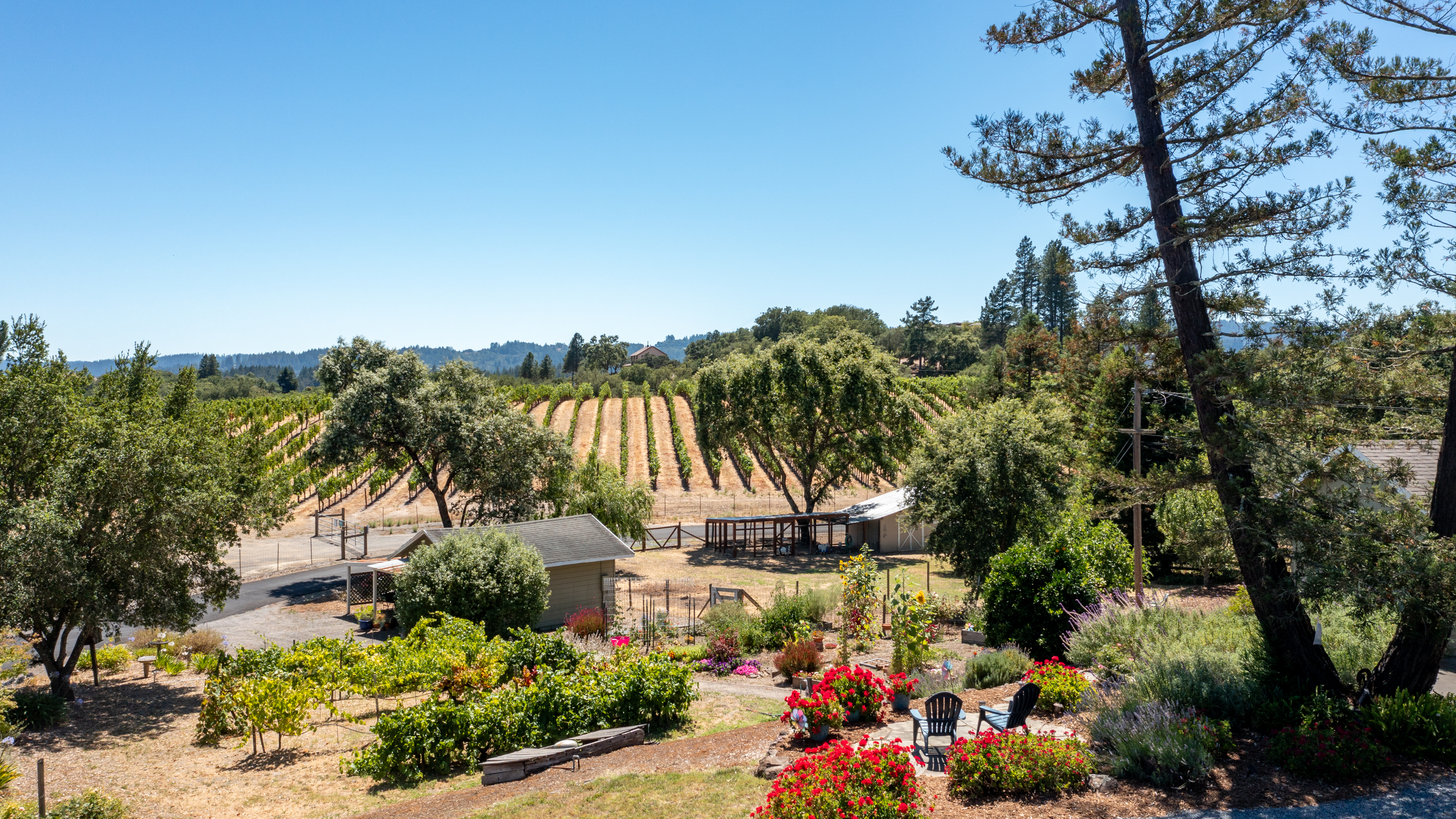  Sonoma Country Lifestyle - 物件實景