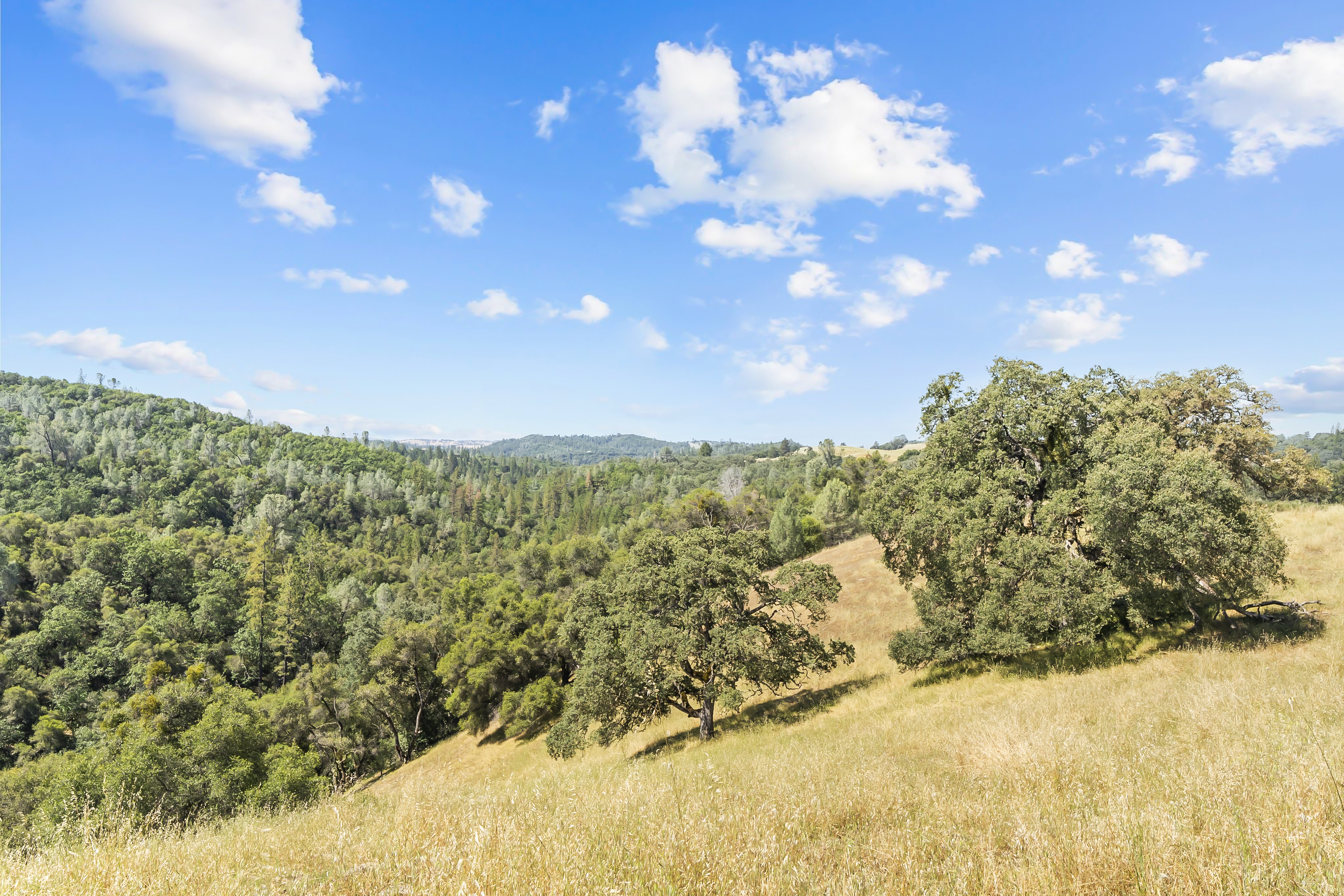  Amoruso Ranch 1000+ Acres Legacy - 物件實景